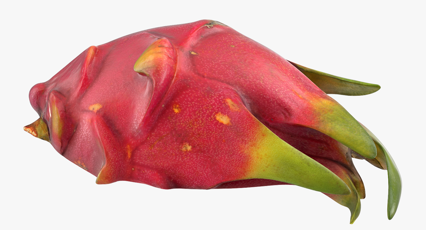 3D Whole and a Half Red Dragon Fruit model