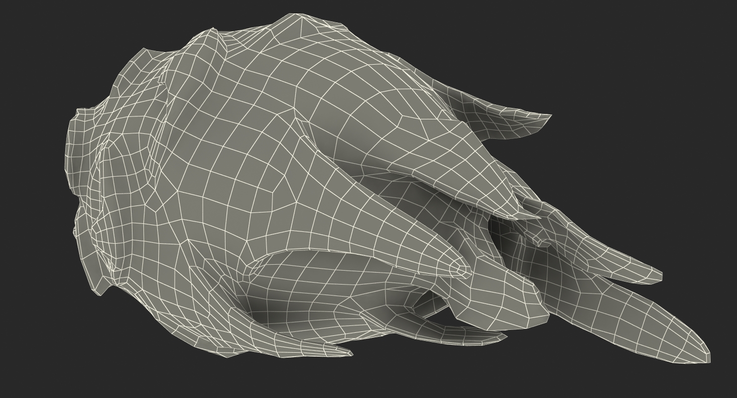 3D Whole and a Half Red Dragon Fruit model