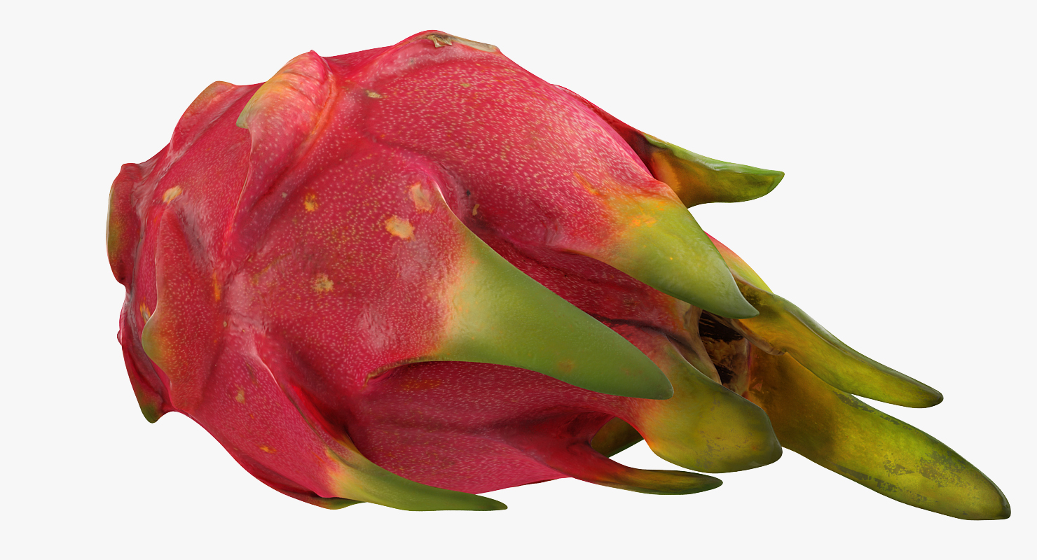 3D Whole and a Half Red Dragon Fruit model
