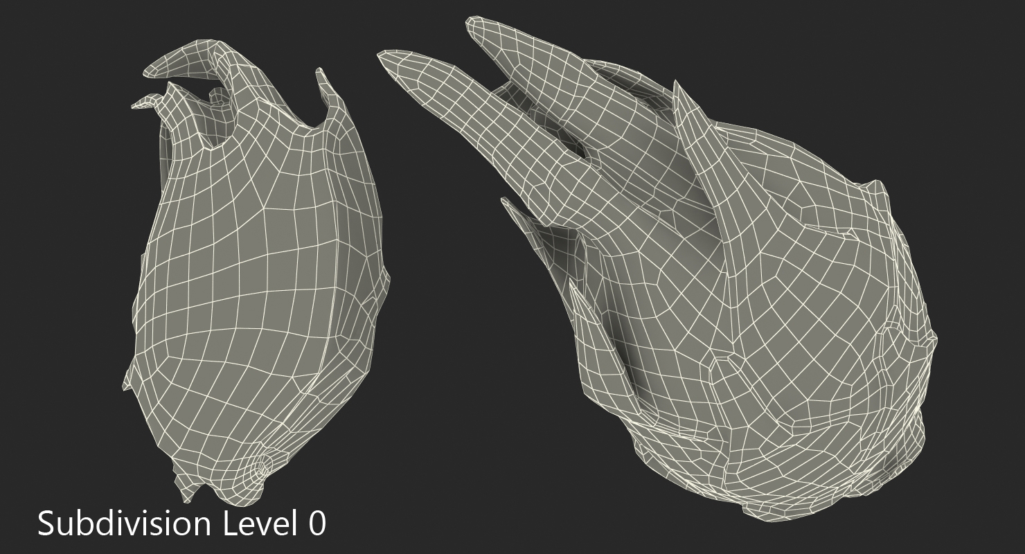 3D Whole and a Half Red Dragon Fruit model