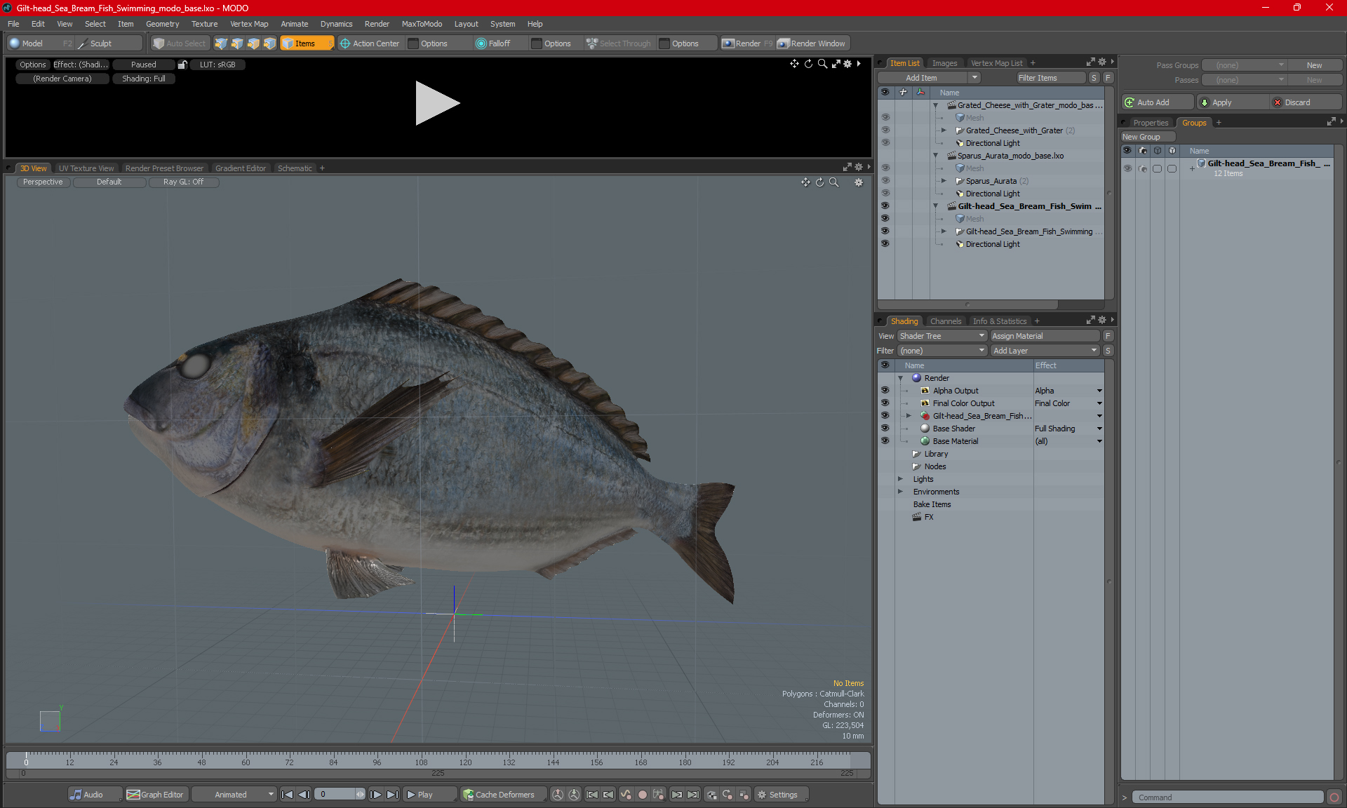 3D Gilt-head Sea Bream Fish Swimming model