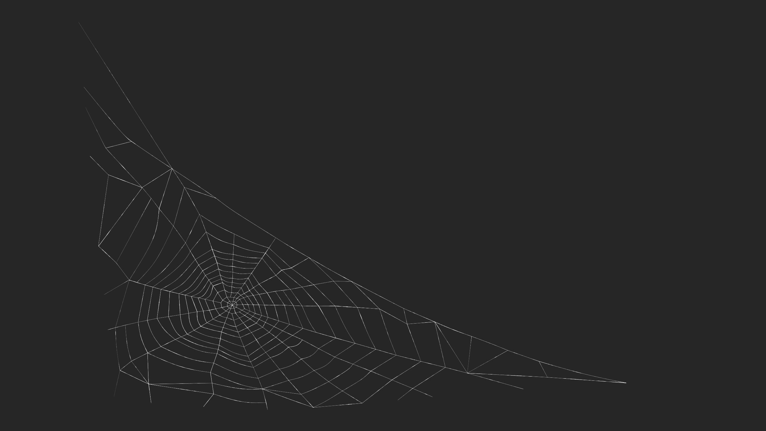 3D Triangular Shaped Spider Web model