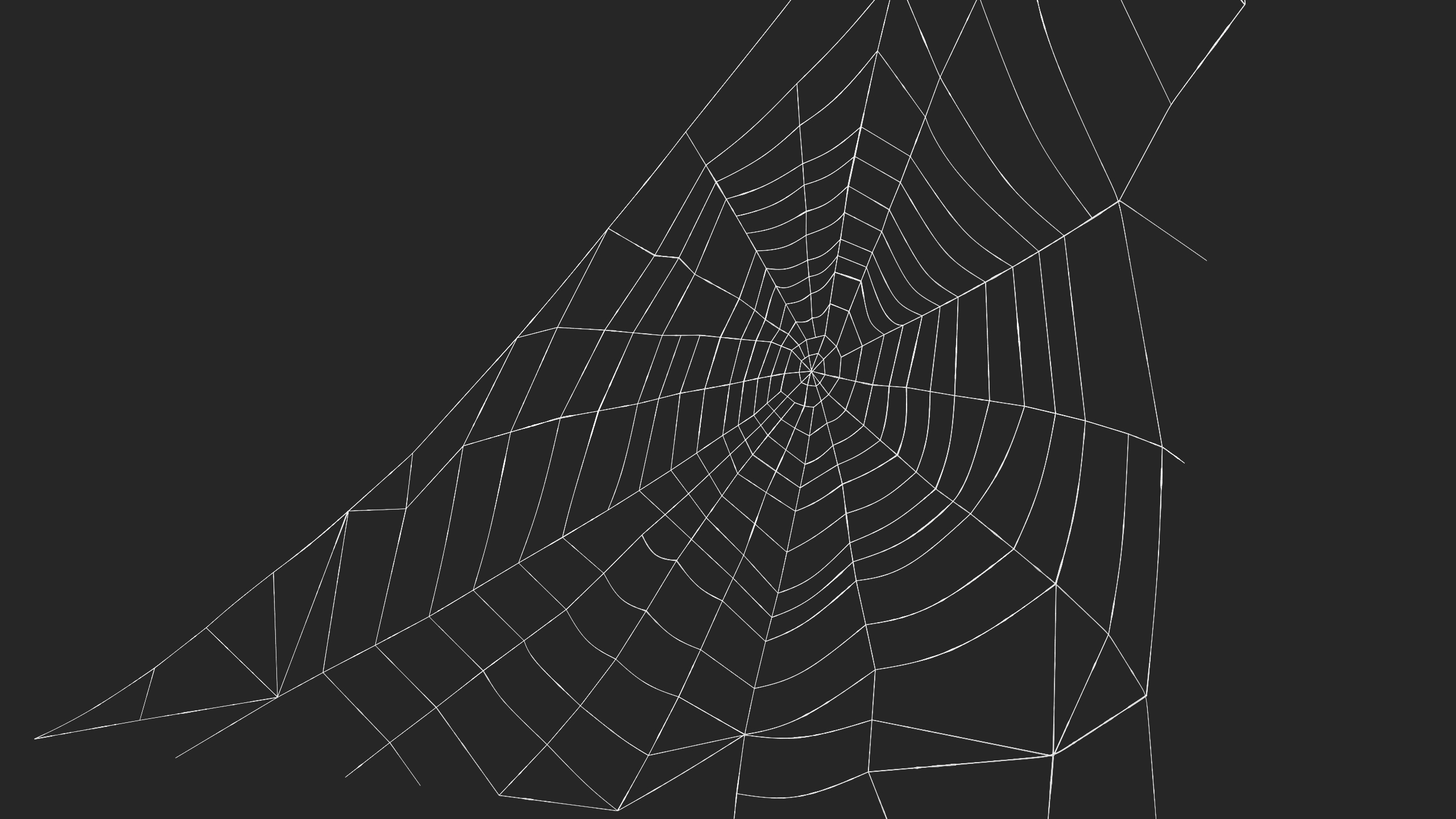 3D Triangular Shaped Spider Web model