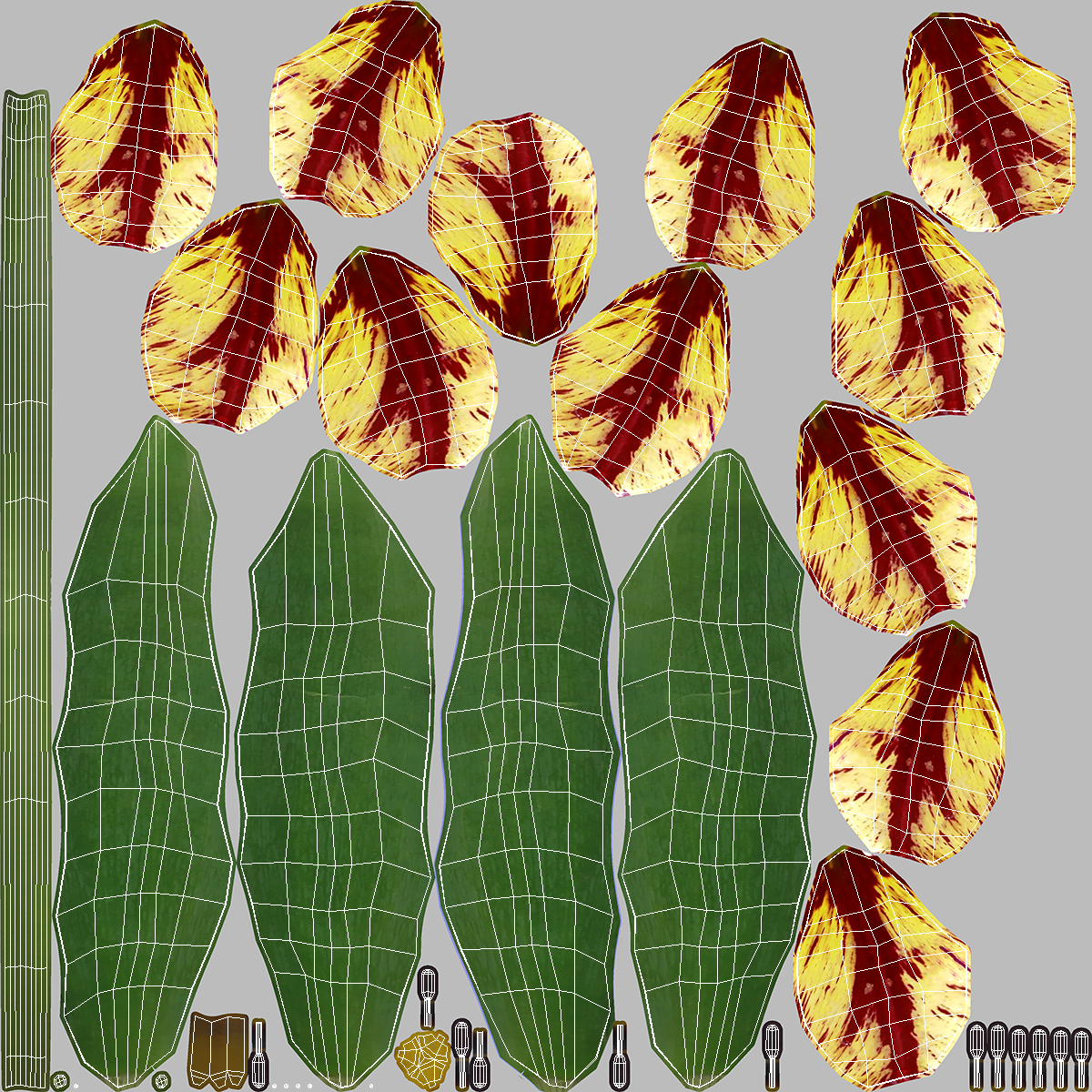 Blooming Banja Luka Tulip Flower 3D