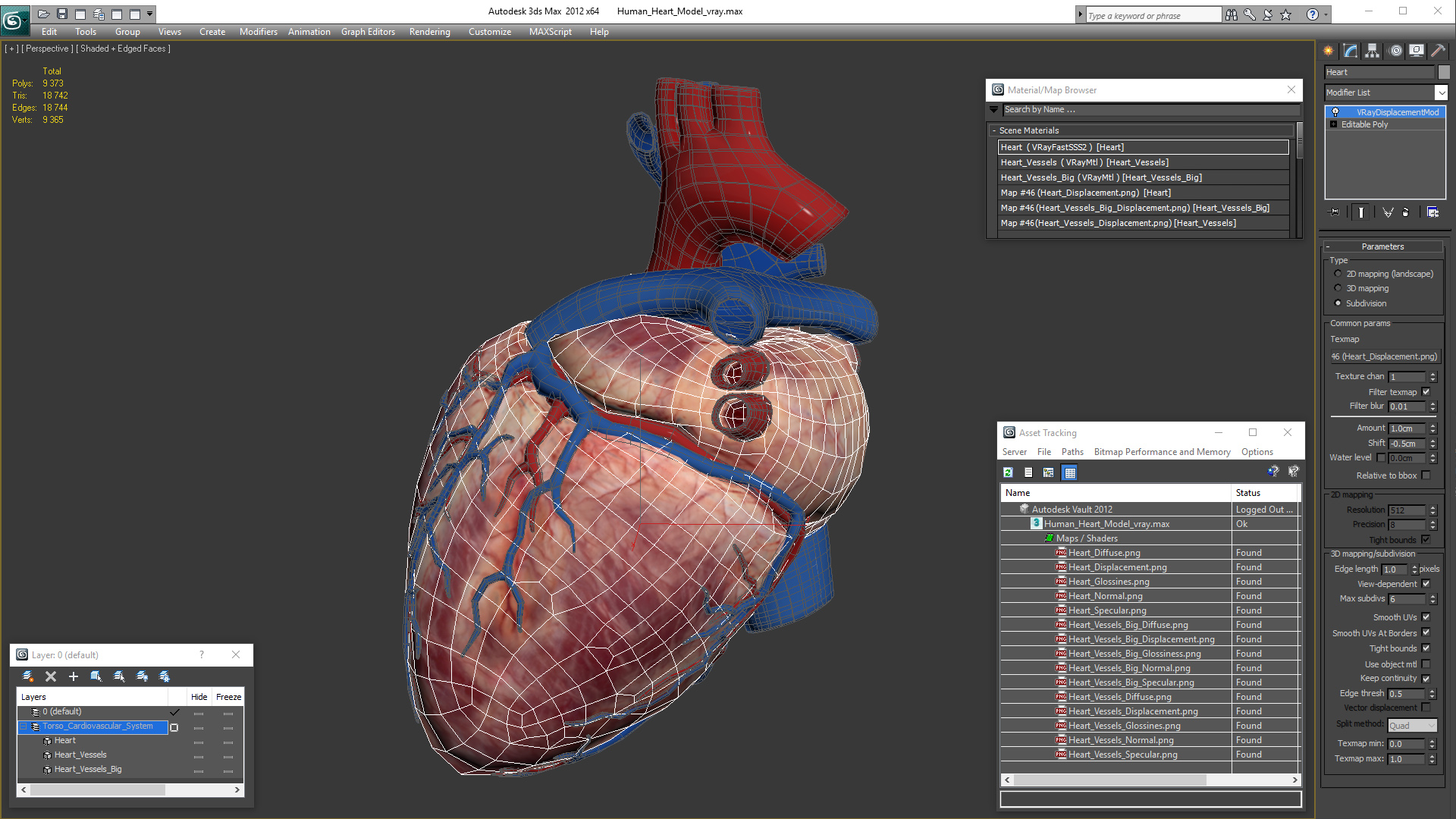 Human Heart Model 3D