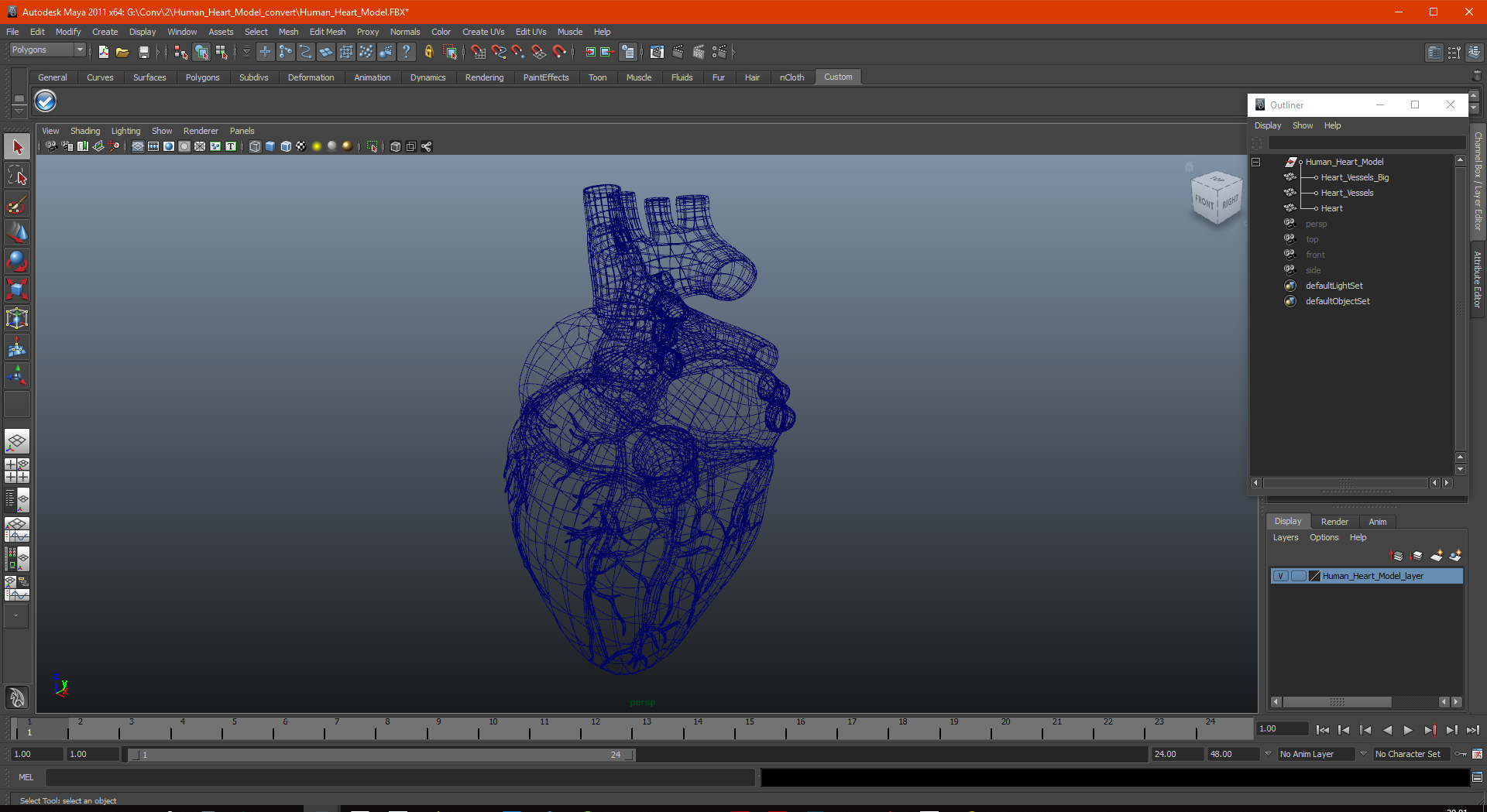 Human Heart Model 3D