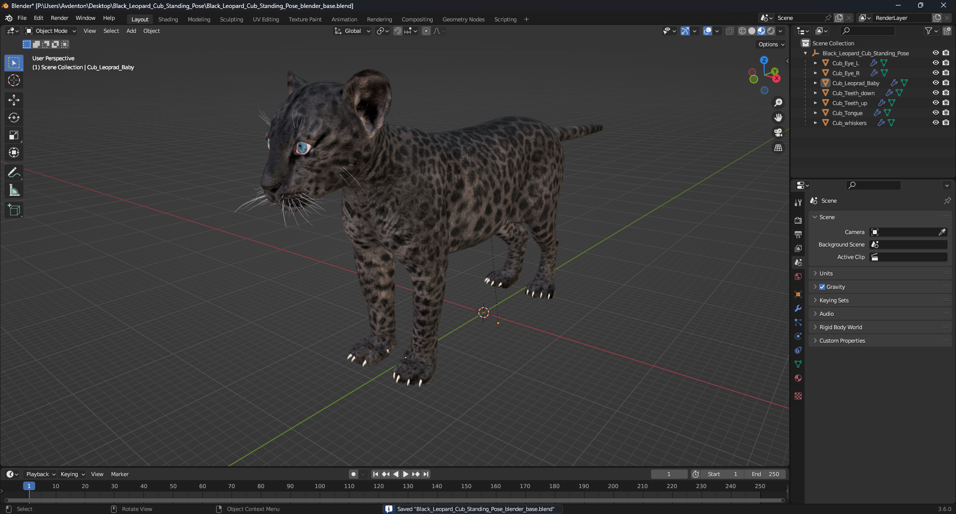 3D Black Leopard Cub Standing Pose