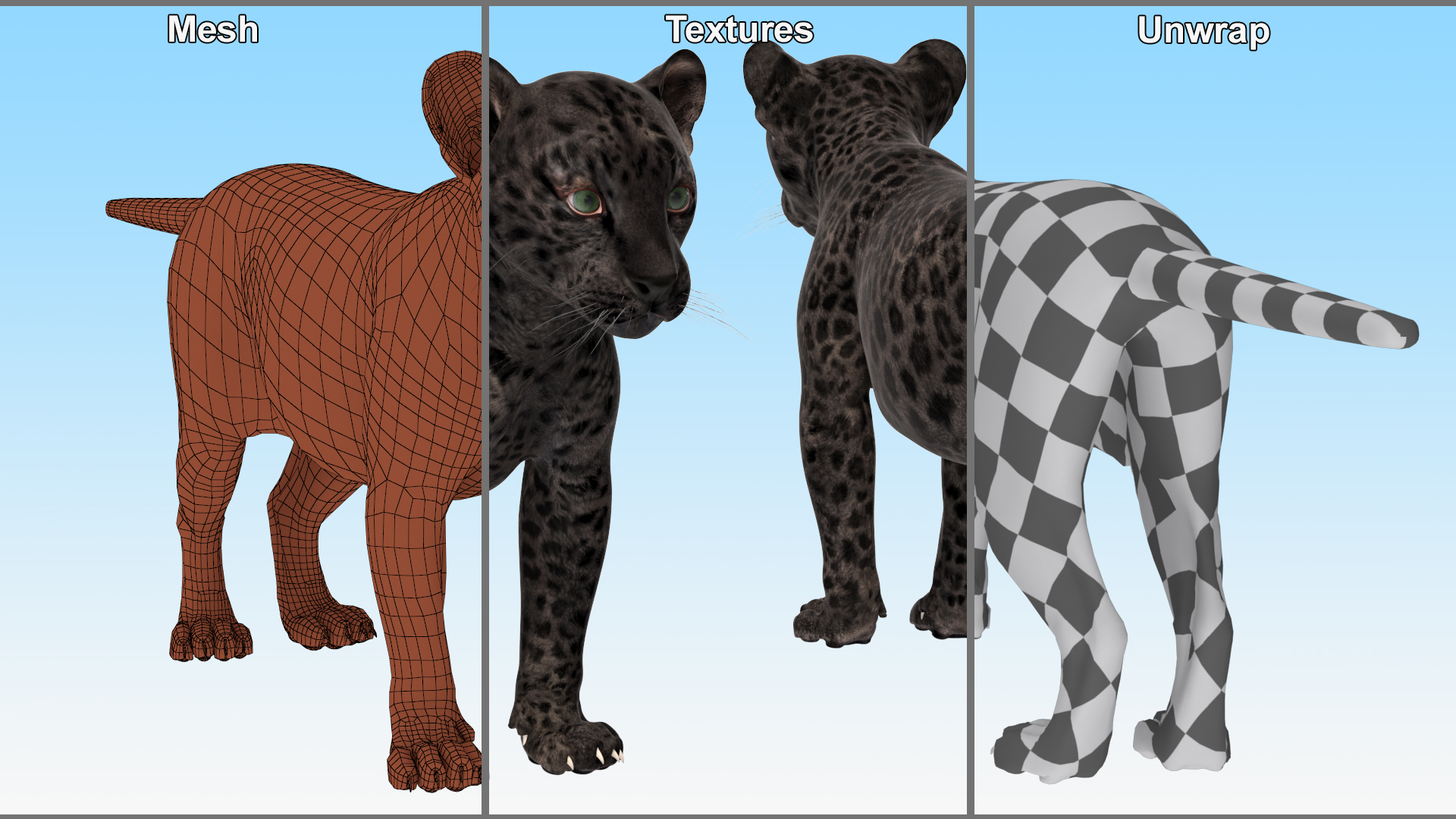 3D Black Leopard Cub Standing Pose