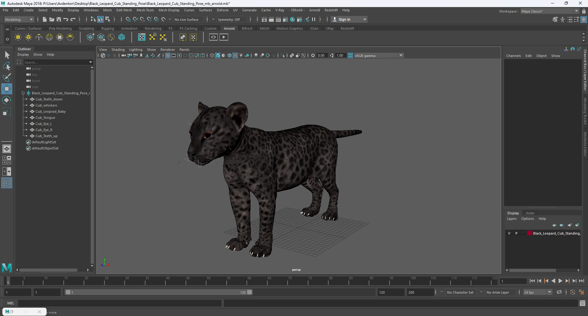 3D Black Leopard Cub Standing Pose