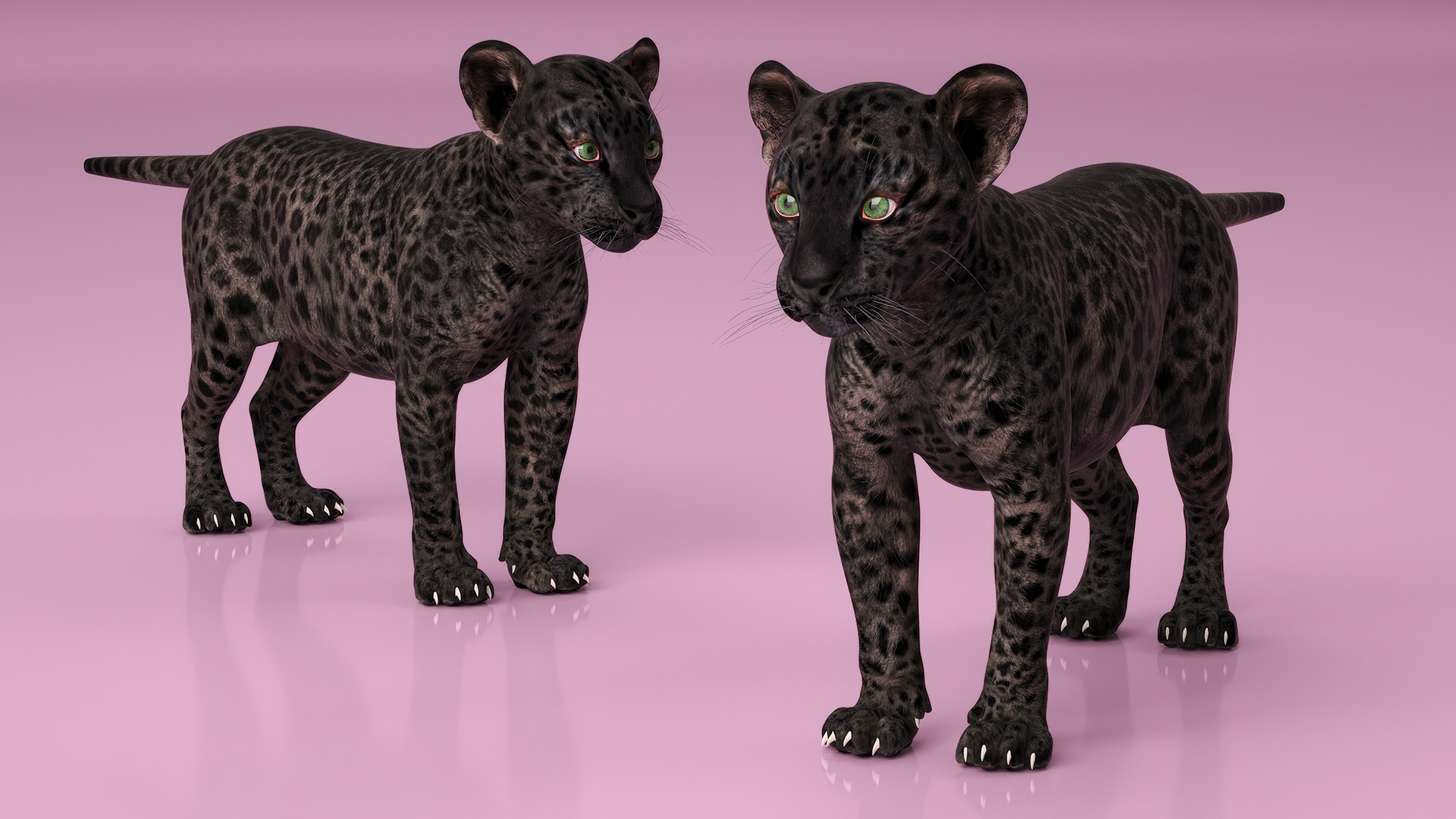 3D Black Leopard Cub Standing Pose