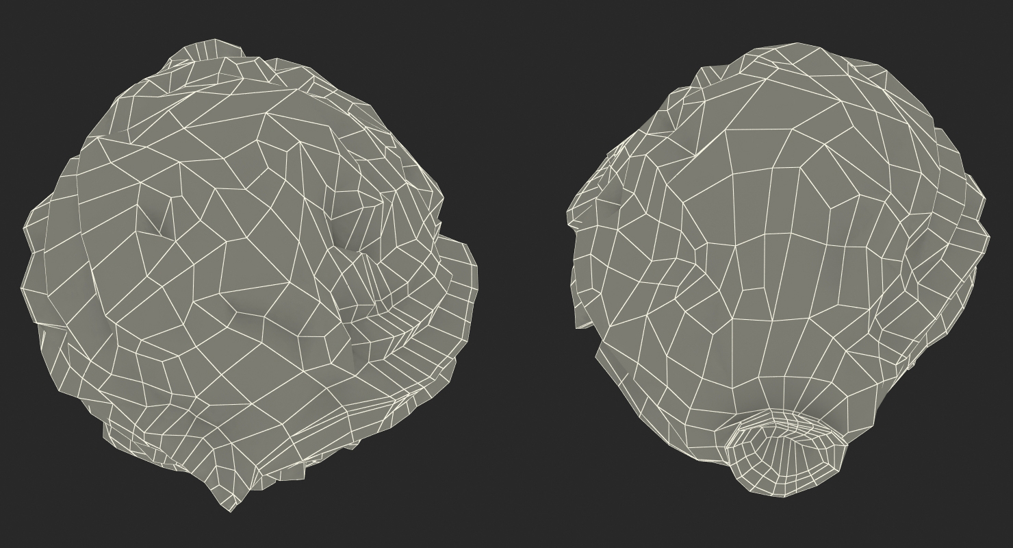 3D model Peach Seed