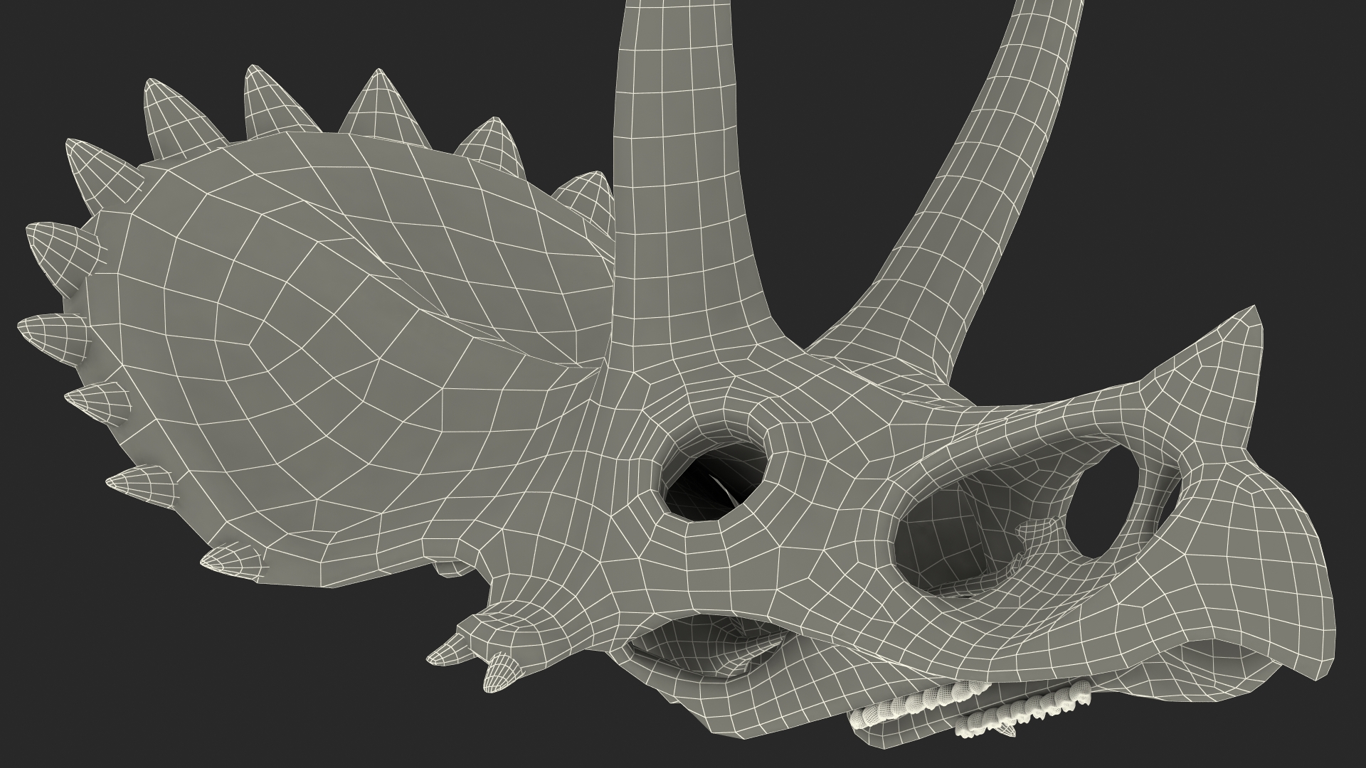 Triceratops Skull Part Fossil 3D model