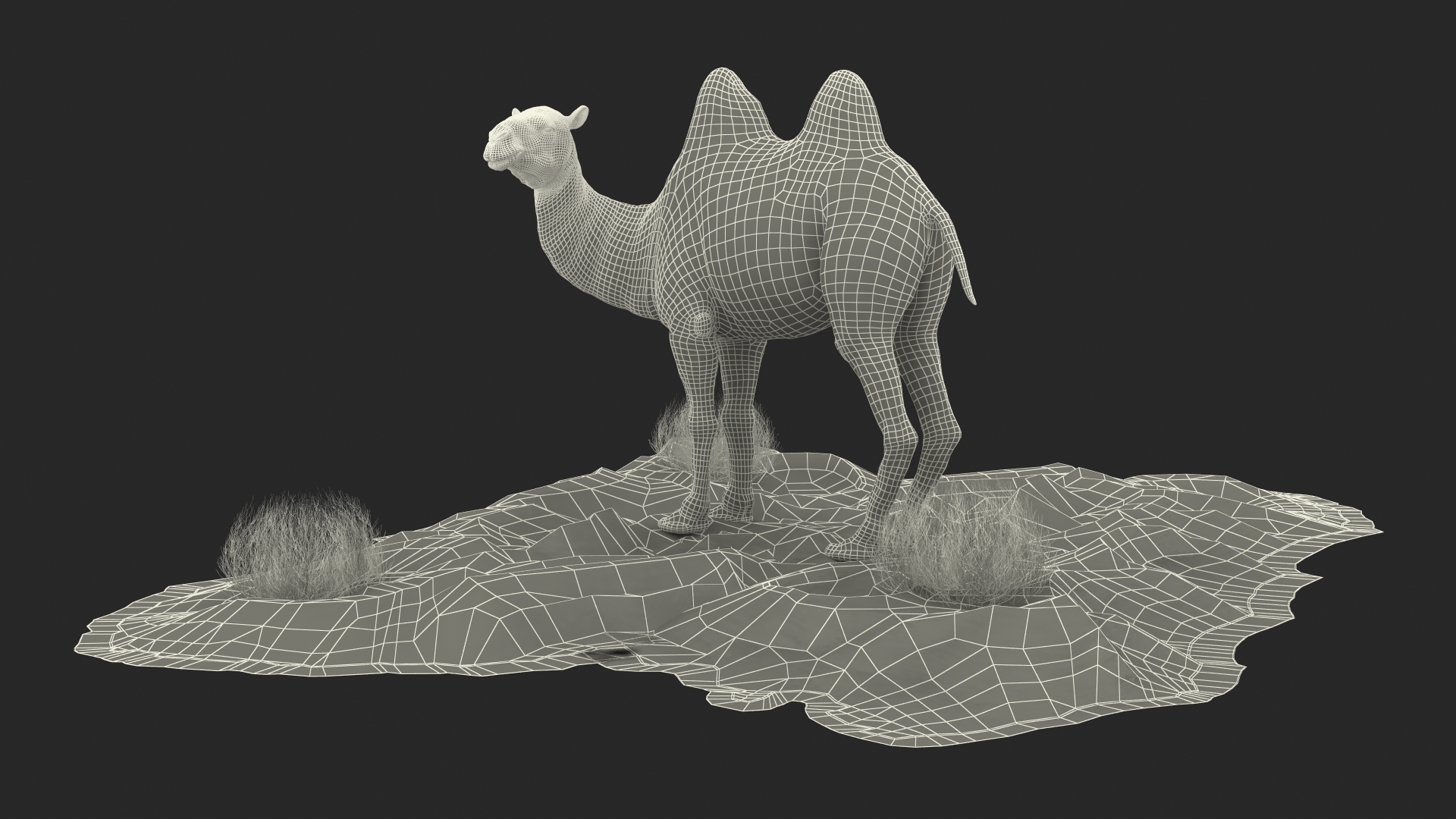 Bactrian Camel on Desert Sand 3D model
