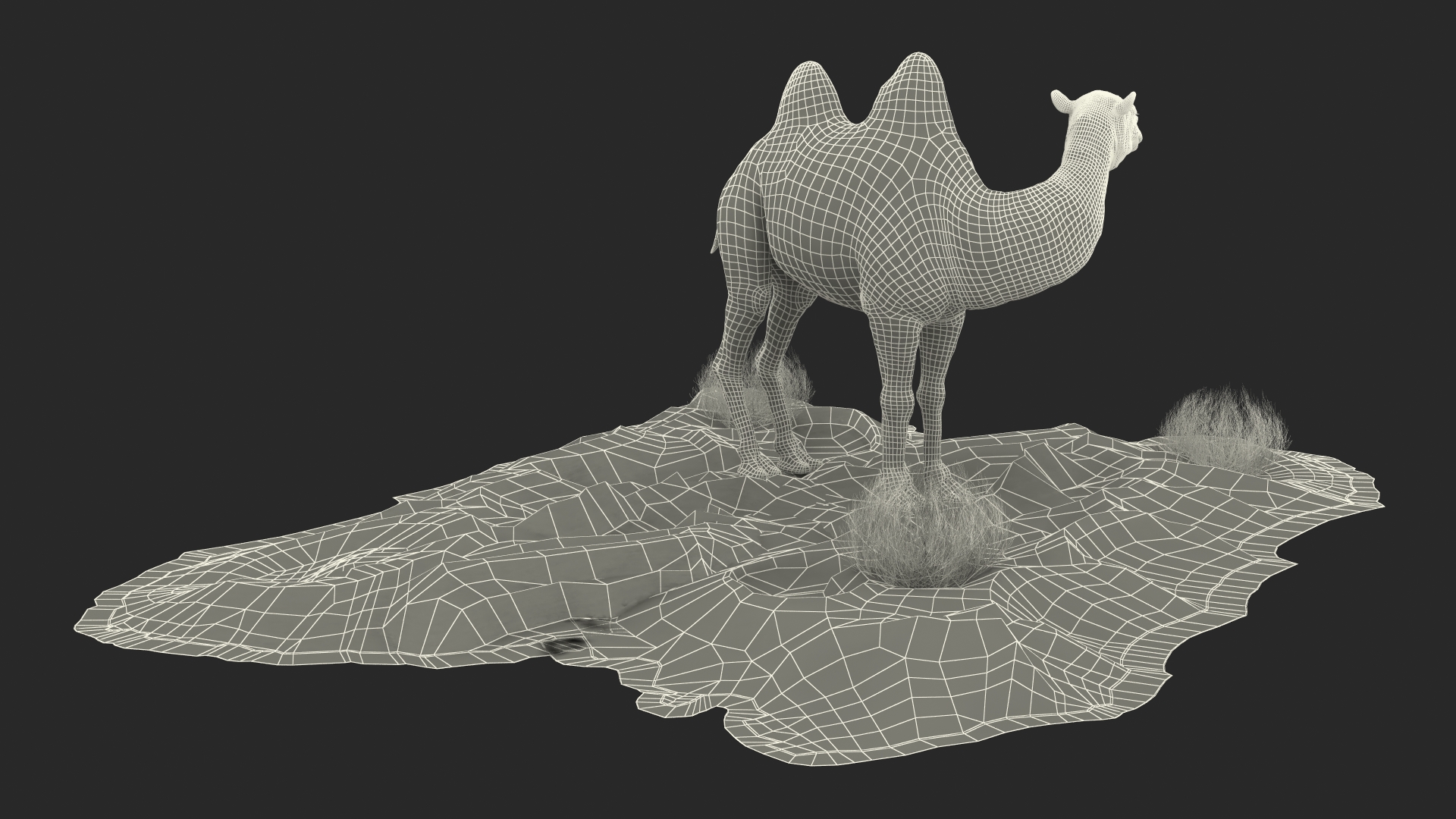 Bactrian Camel on Desert Sand 3D model