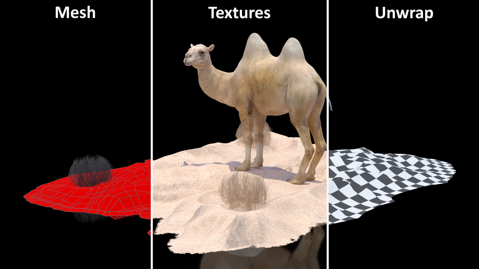 Bactrian Camel on Desert Sand 3D model