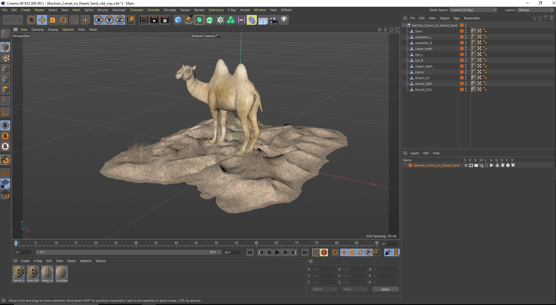Bactrian Camel on Desert Sand 3D model