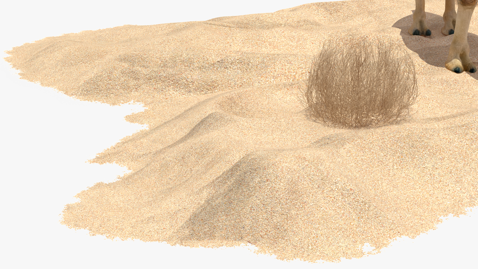Bactrian Camel on Desert Sand 3D model