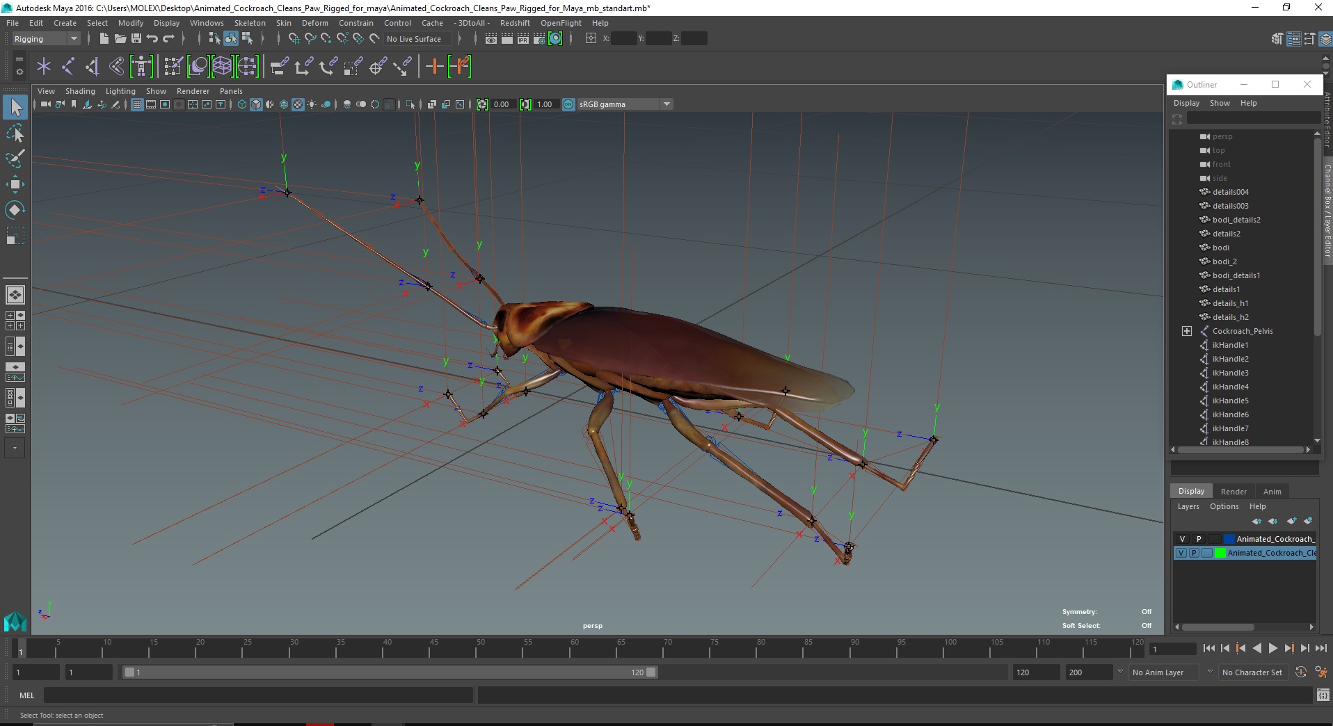 3D model Animated Cockroach Cleans Paw Rigged for Maya