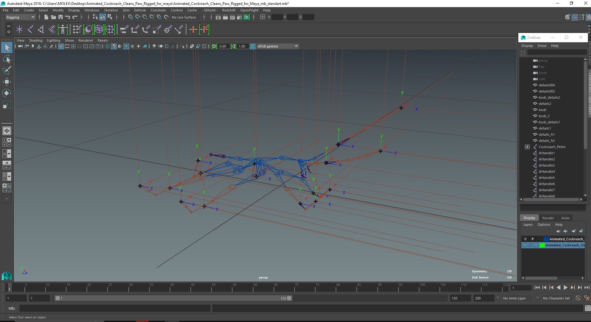 3D model Animated Cockroach Cleans Paw Rigged for Maya