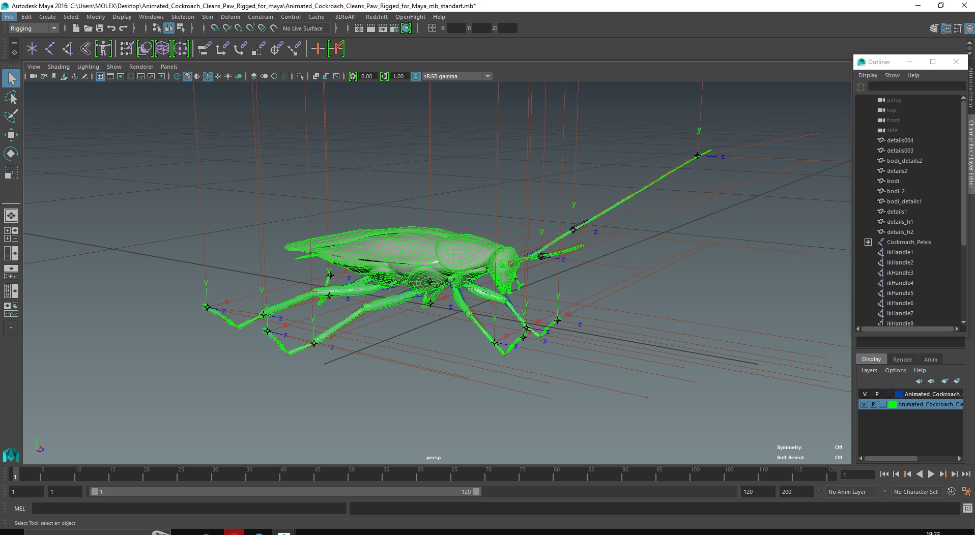3D model Animated Cockroach Cleans Paw Rigged for Maya