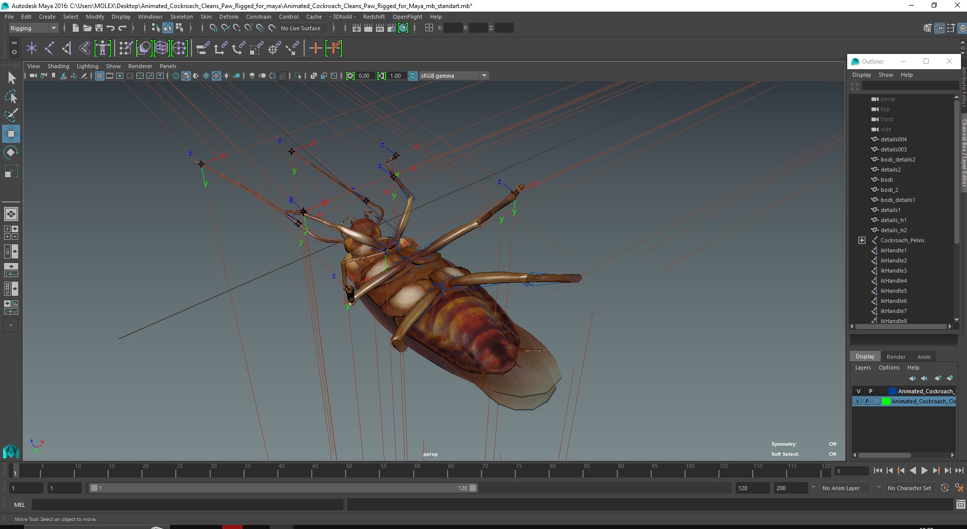 3D model Animated Cockroach Cleans Paw Rigged for Maya