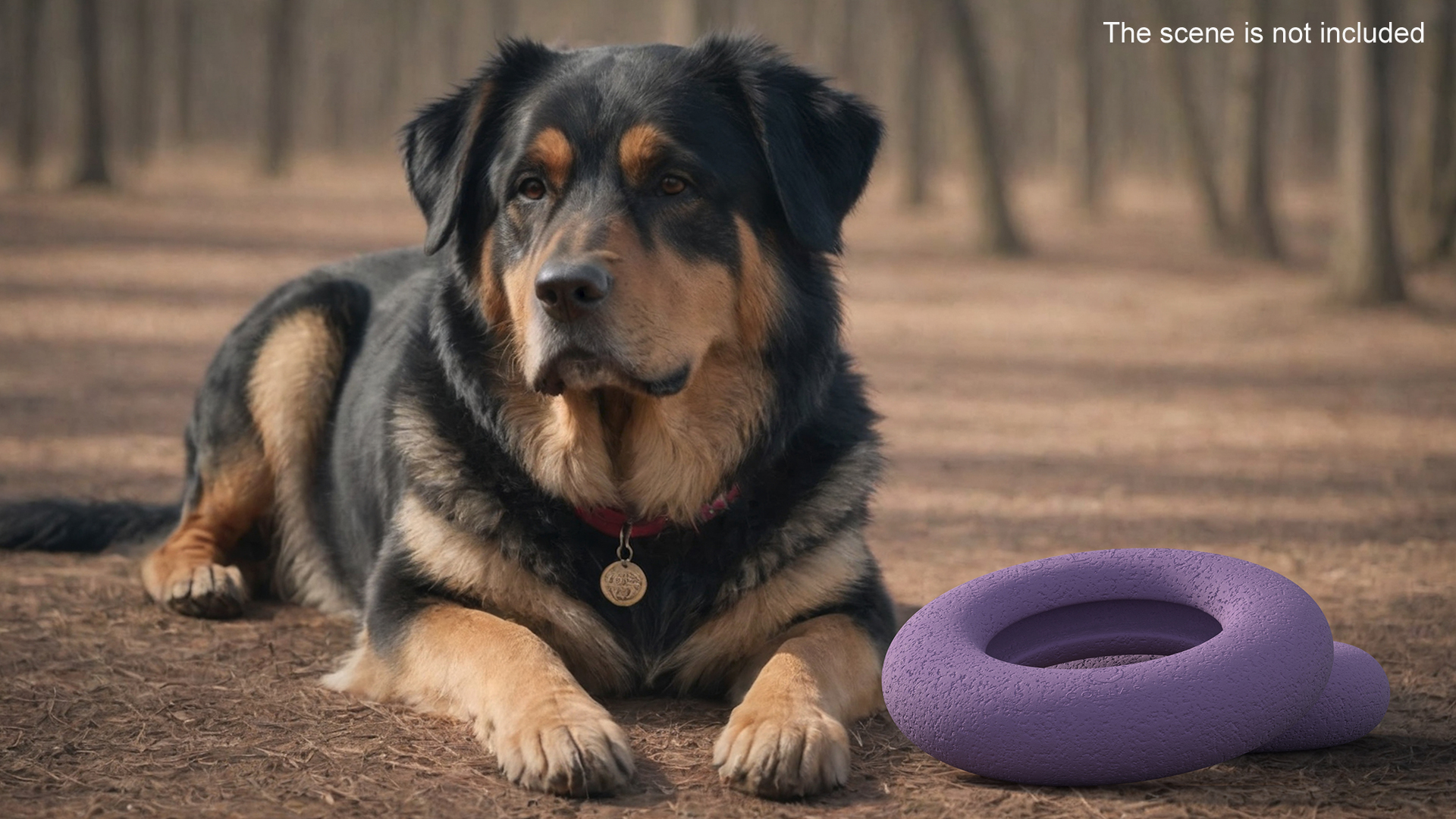 Outdoor Dog Toy Puller Maxi Used 3D