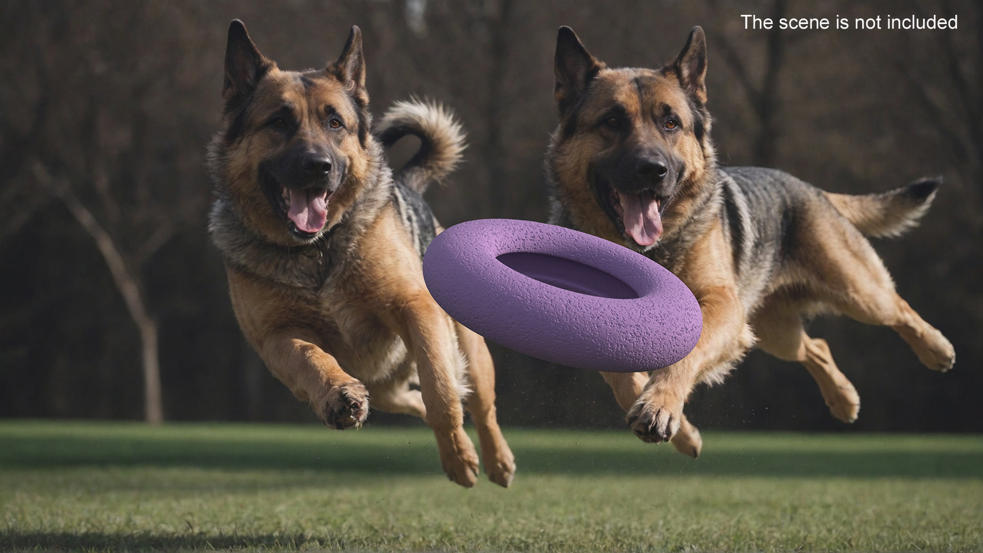 Outdoor Dog Toy Puller Maxi Used 3D