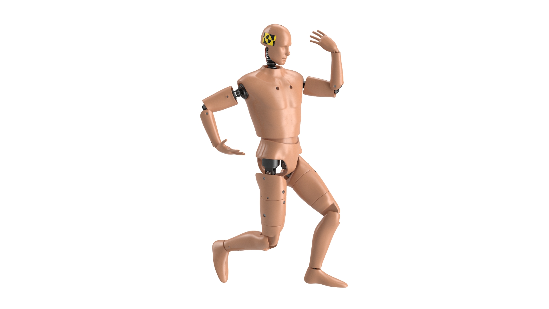 3D Humanoid Crash Test Dummy Rigged for Maya