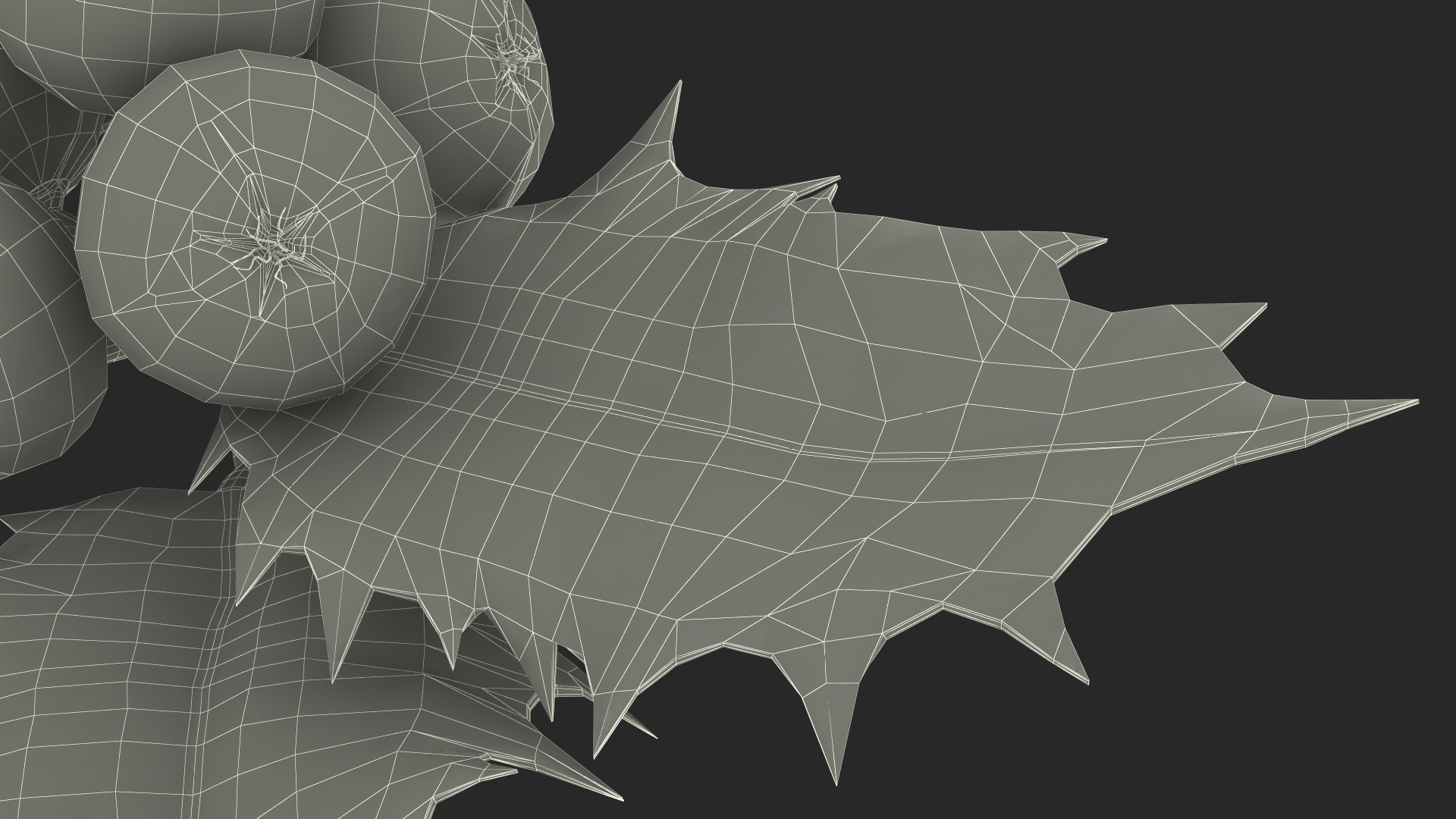 Christmas Decoration Sprig Holly 3D