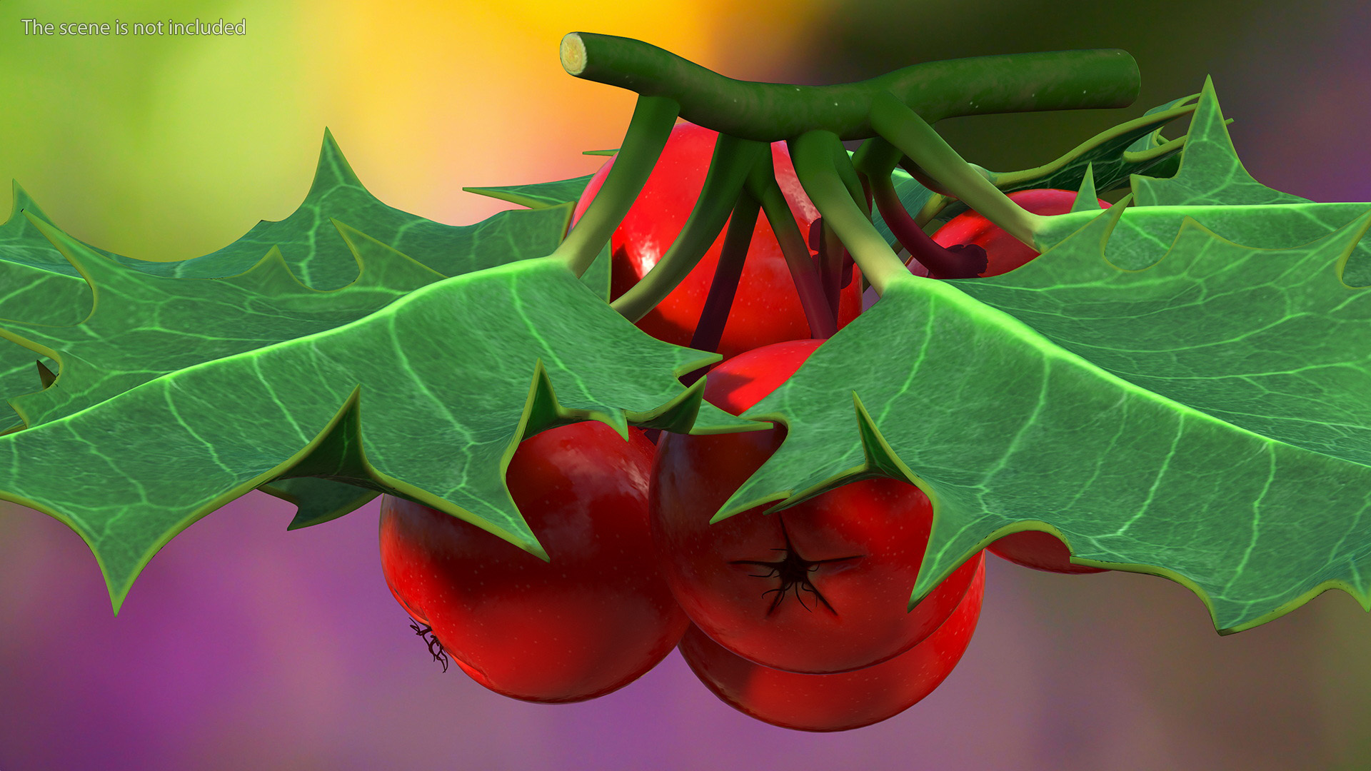 Christmas Decoration Sprig Holly 3D