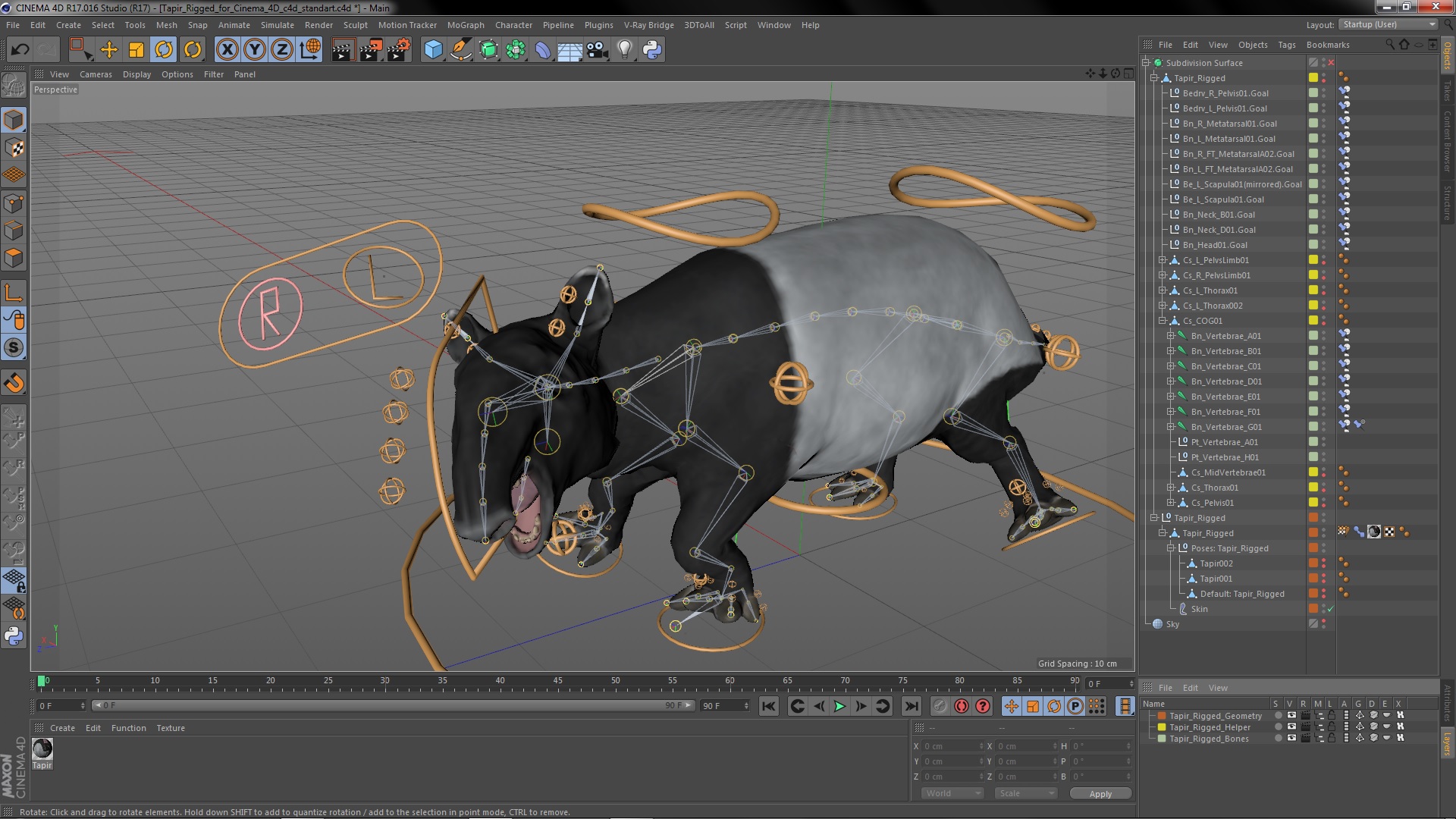3D Tapir Rigged for Cinema 4D