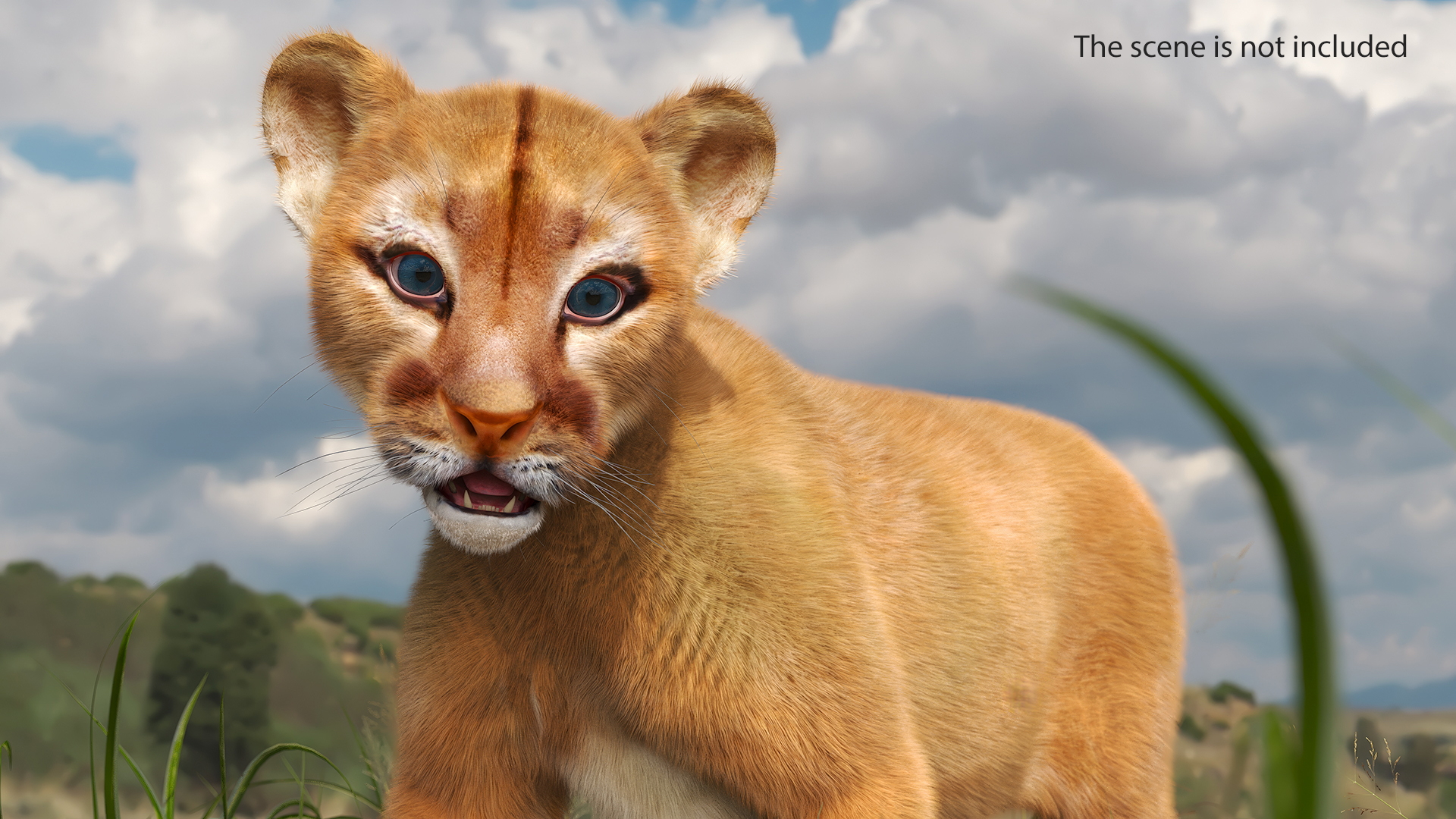 Baby Puma Cub Fur 3D