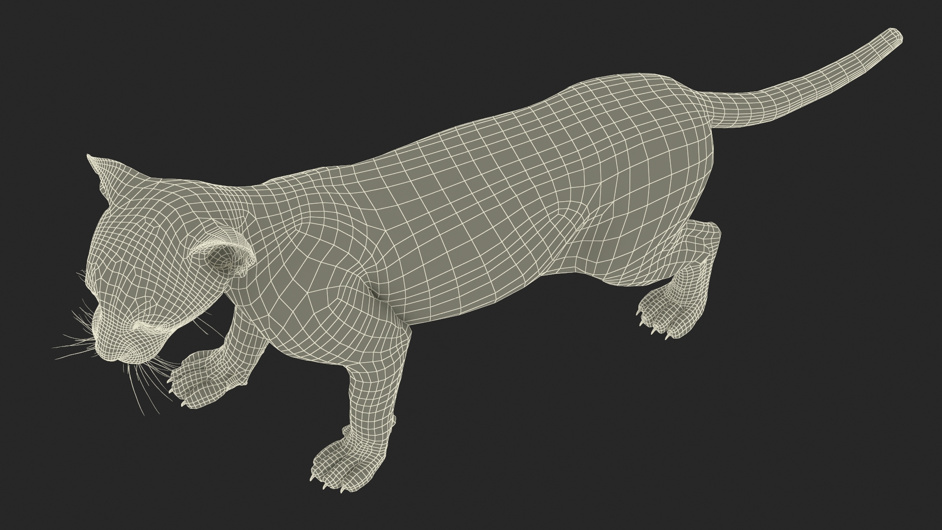 Baby Puma Cub Fur 3D