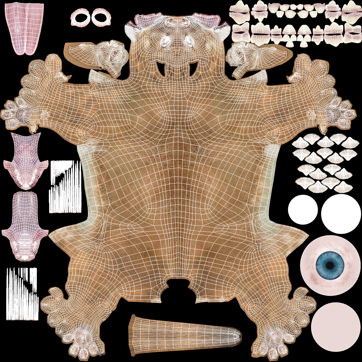 Baby Puma Cub Fur 3D