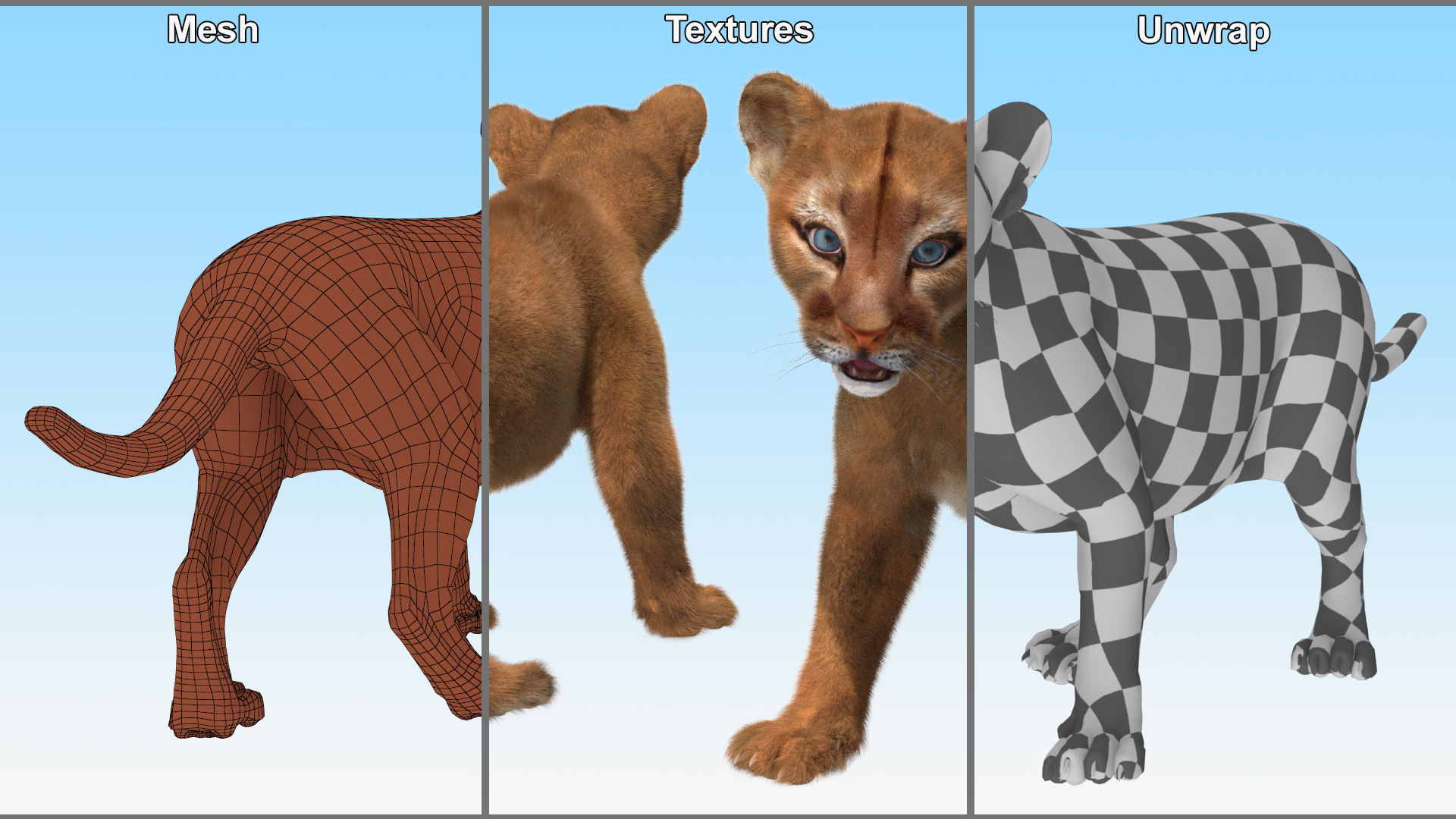 Baby Puma Cub Fur 3D
