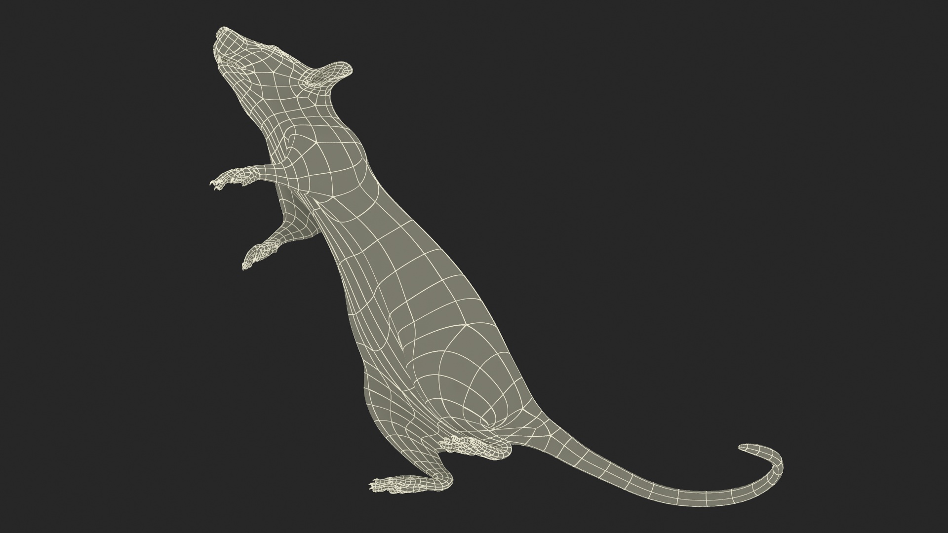 Realistic White Rat Standing with Fur 3D