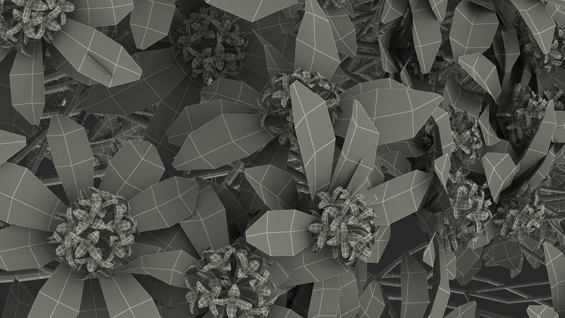 3D model Daphne Odora with Pink Flowers