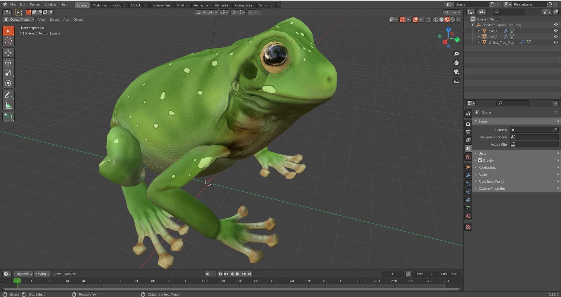 3D model Realistic Green Tree Frog