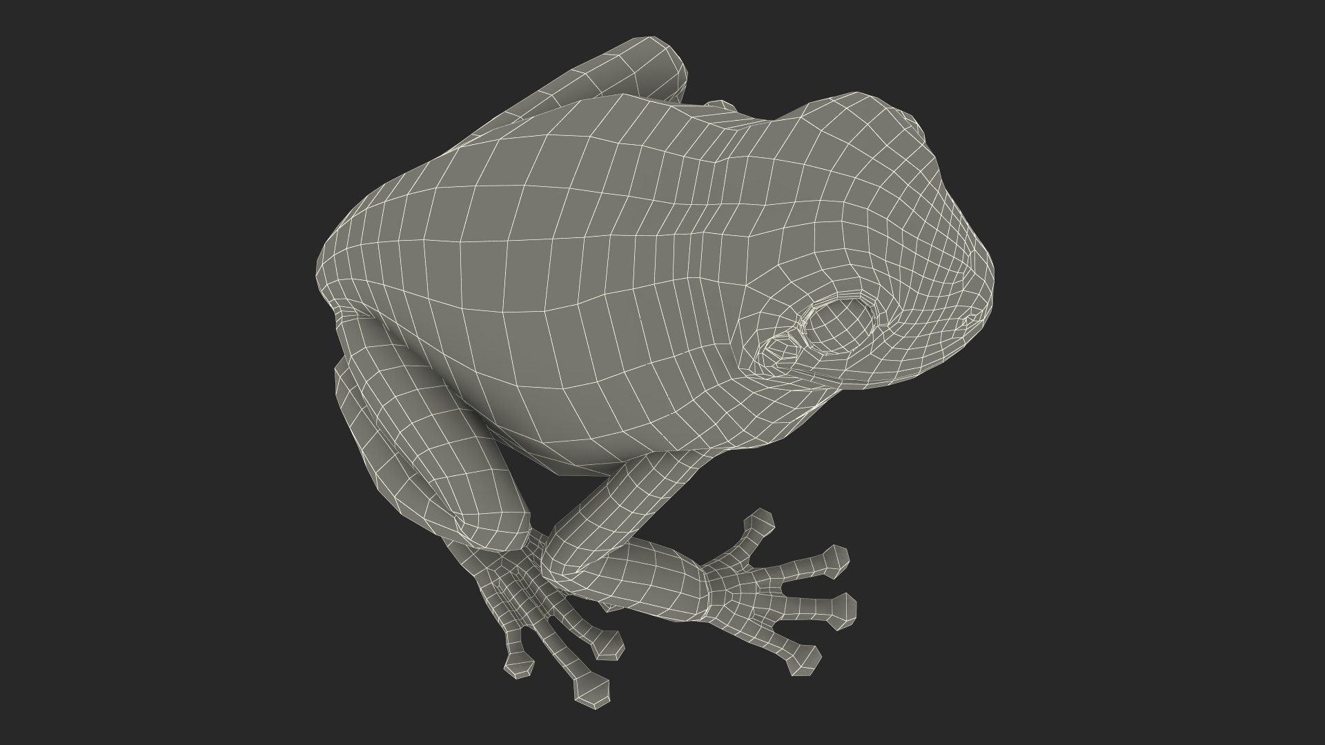 3D model Realistic Green Tree Frog