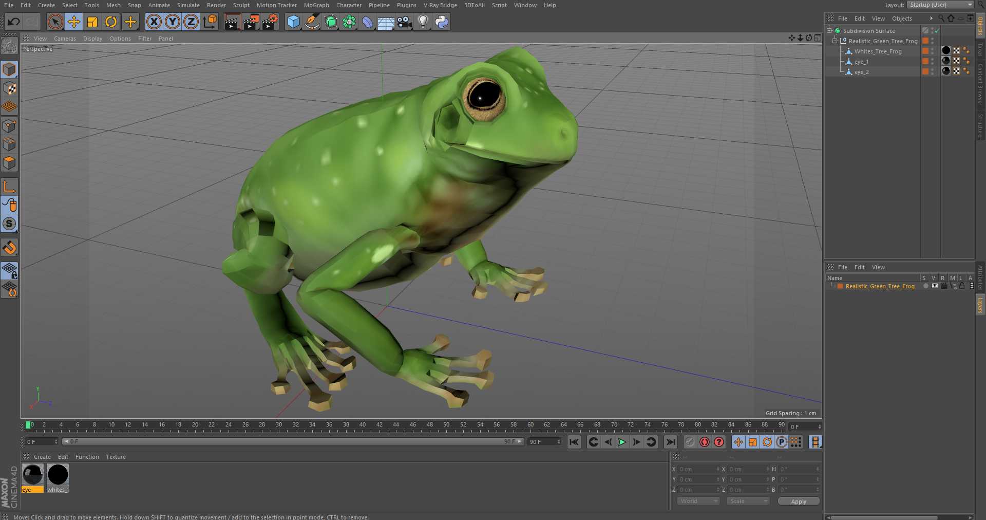 3D model Realistic Green Tree Frog