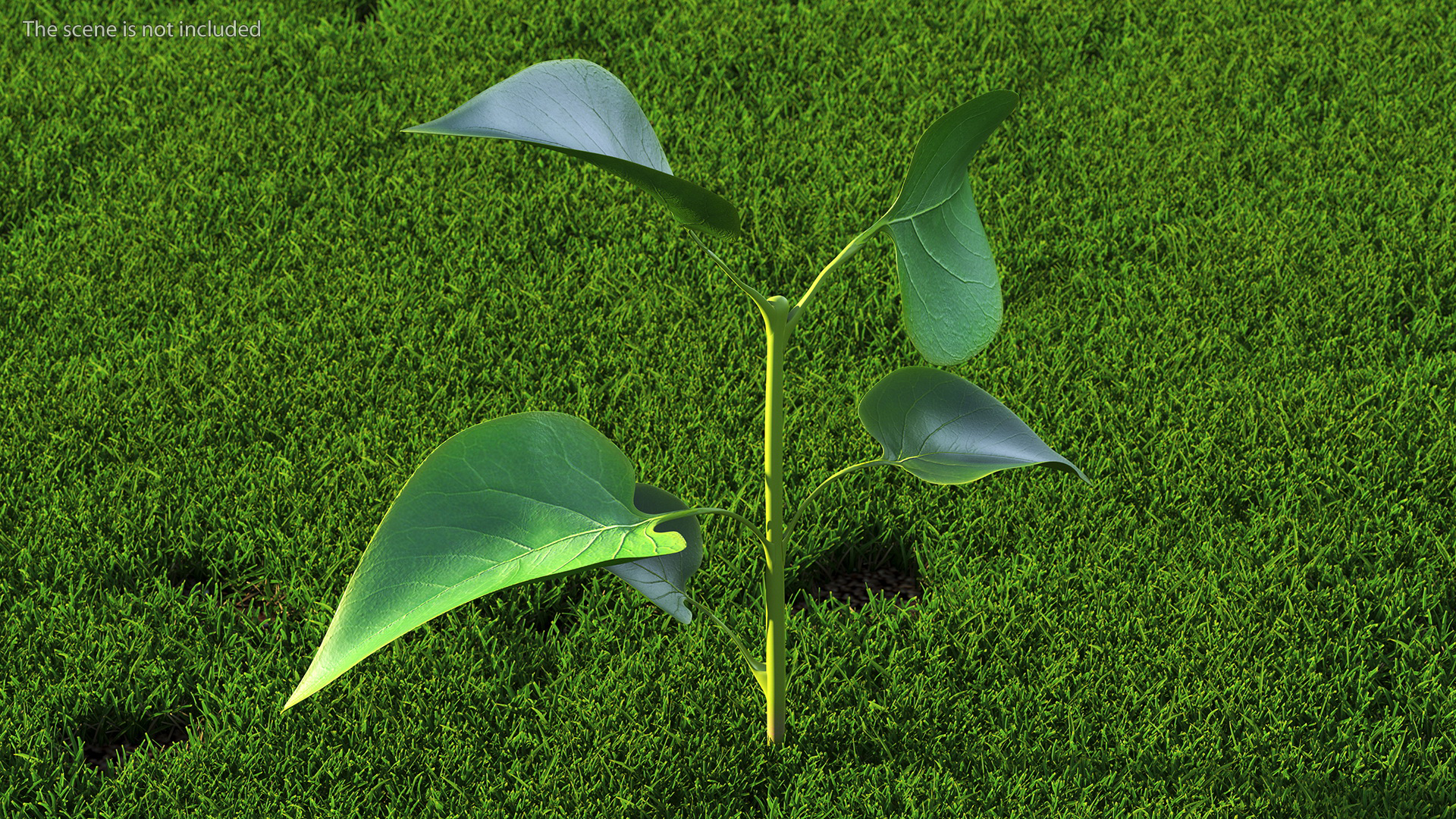 Branch with Green Leaves 3D model