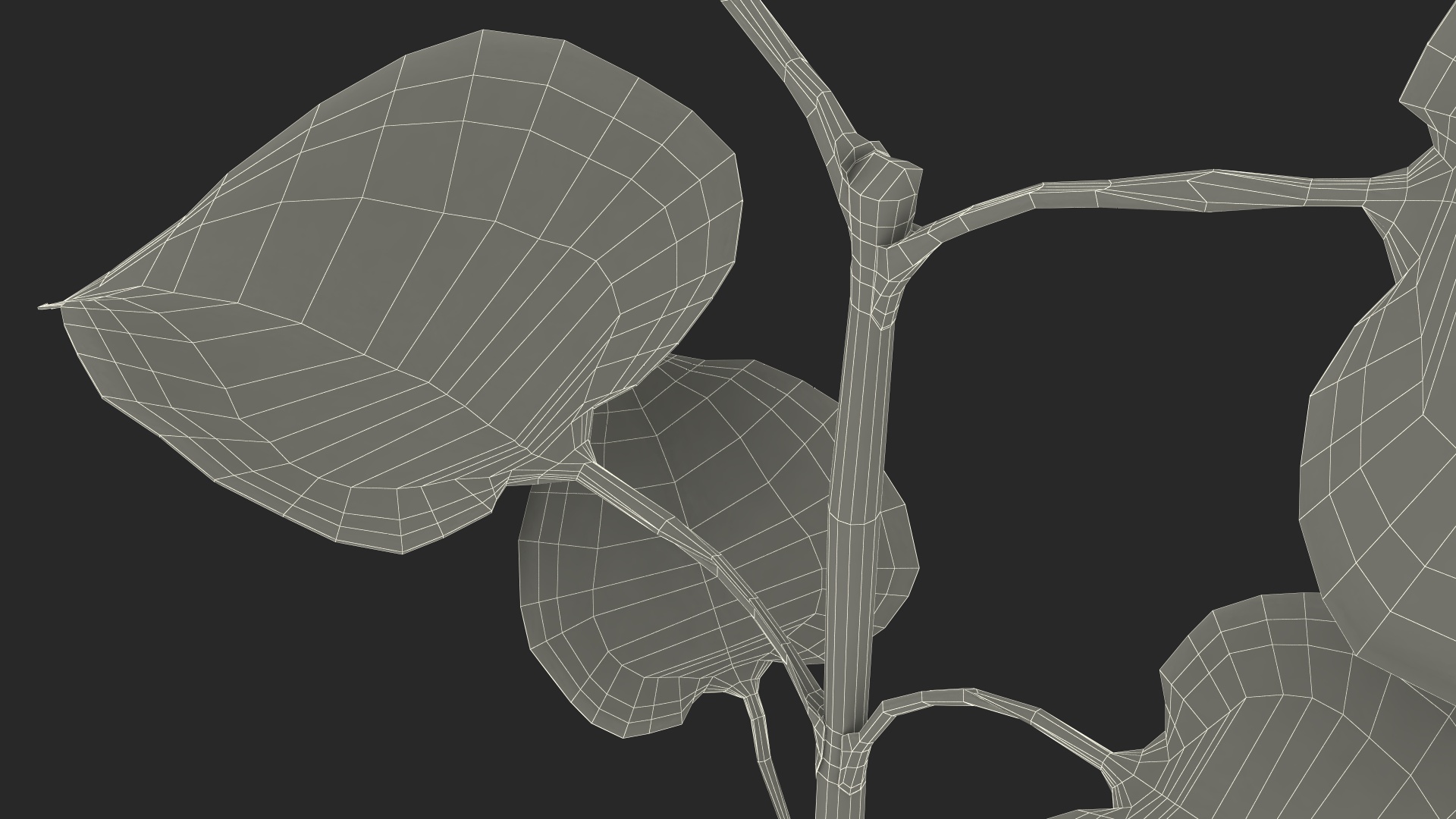 Branch with Green Leaves 3D model