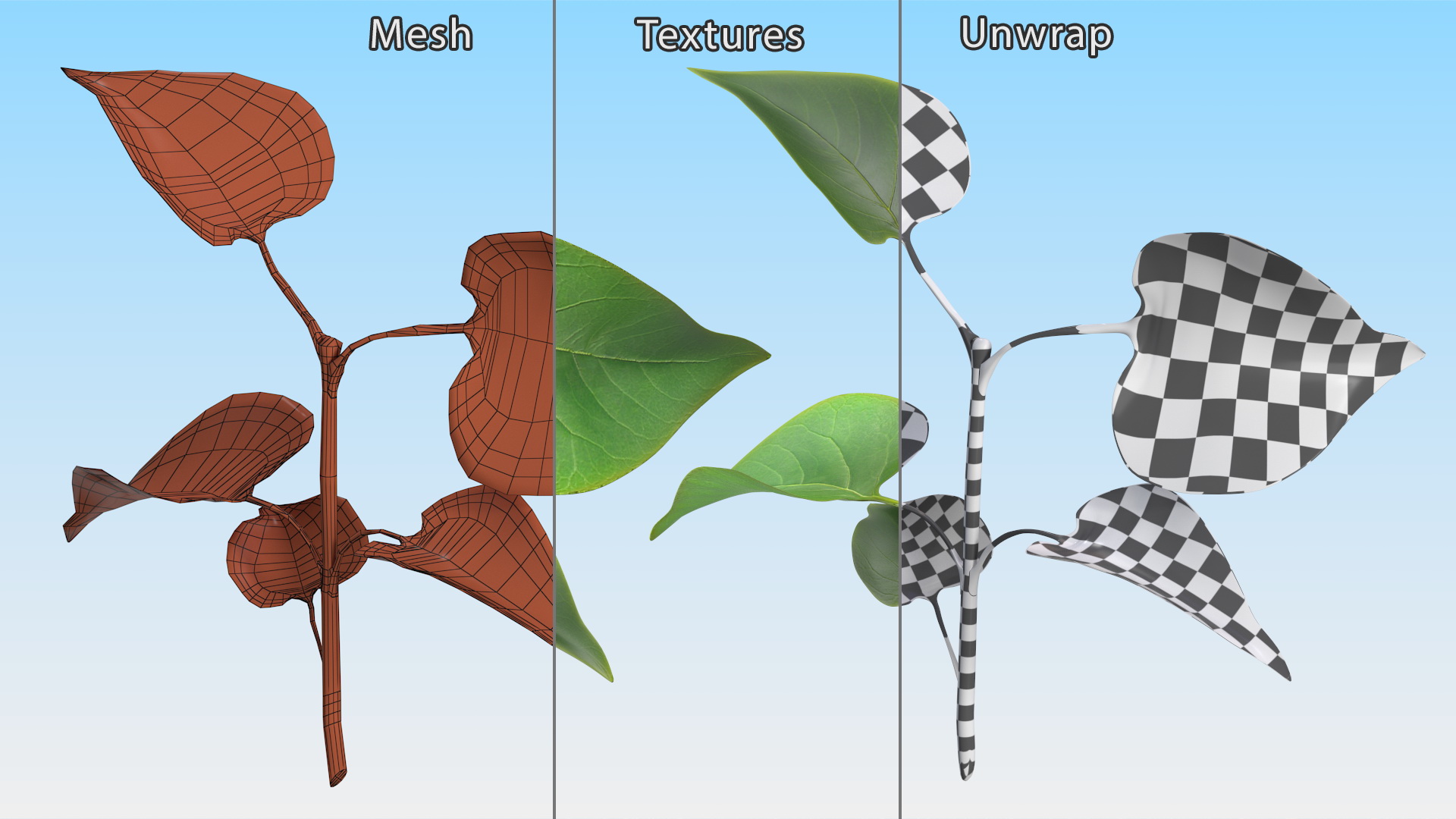 Branch with Green Leaves 3D model