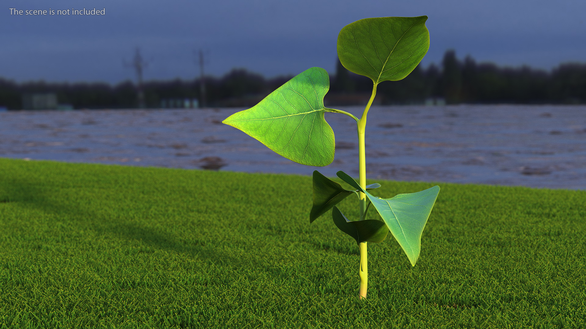 Branch with Green Leaves 3D model