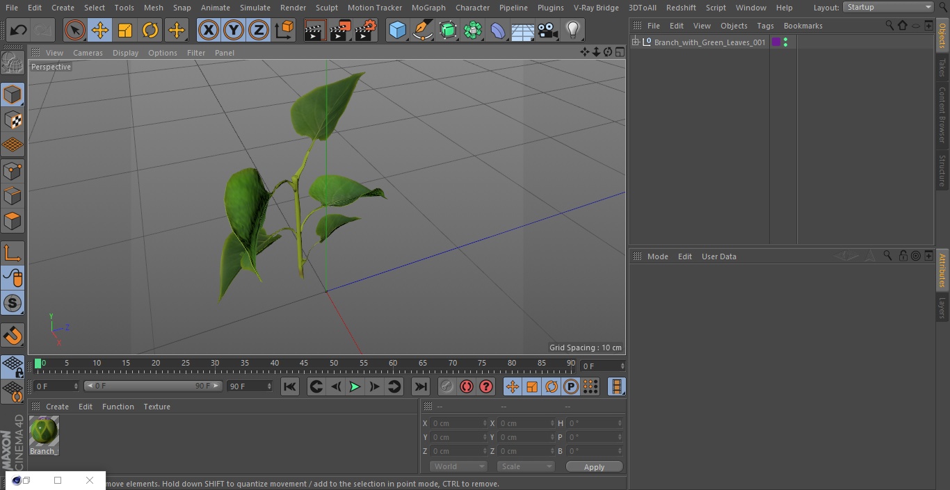 Branch with Green Leaves 3D model