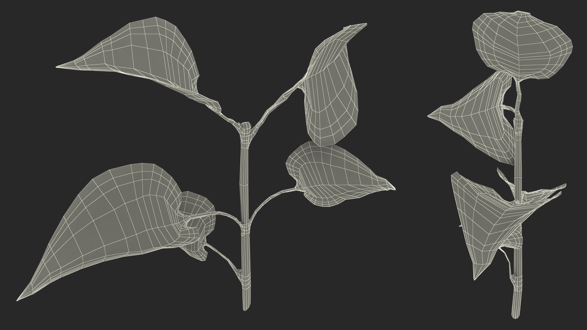 Branch with Green Leaves 3D model