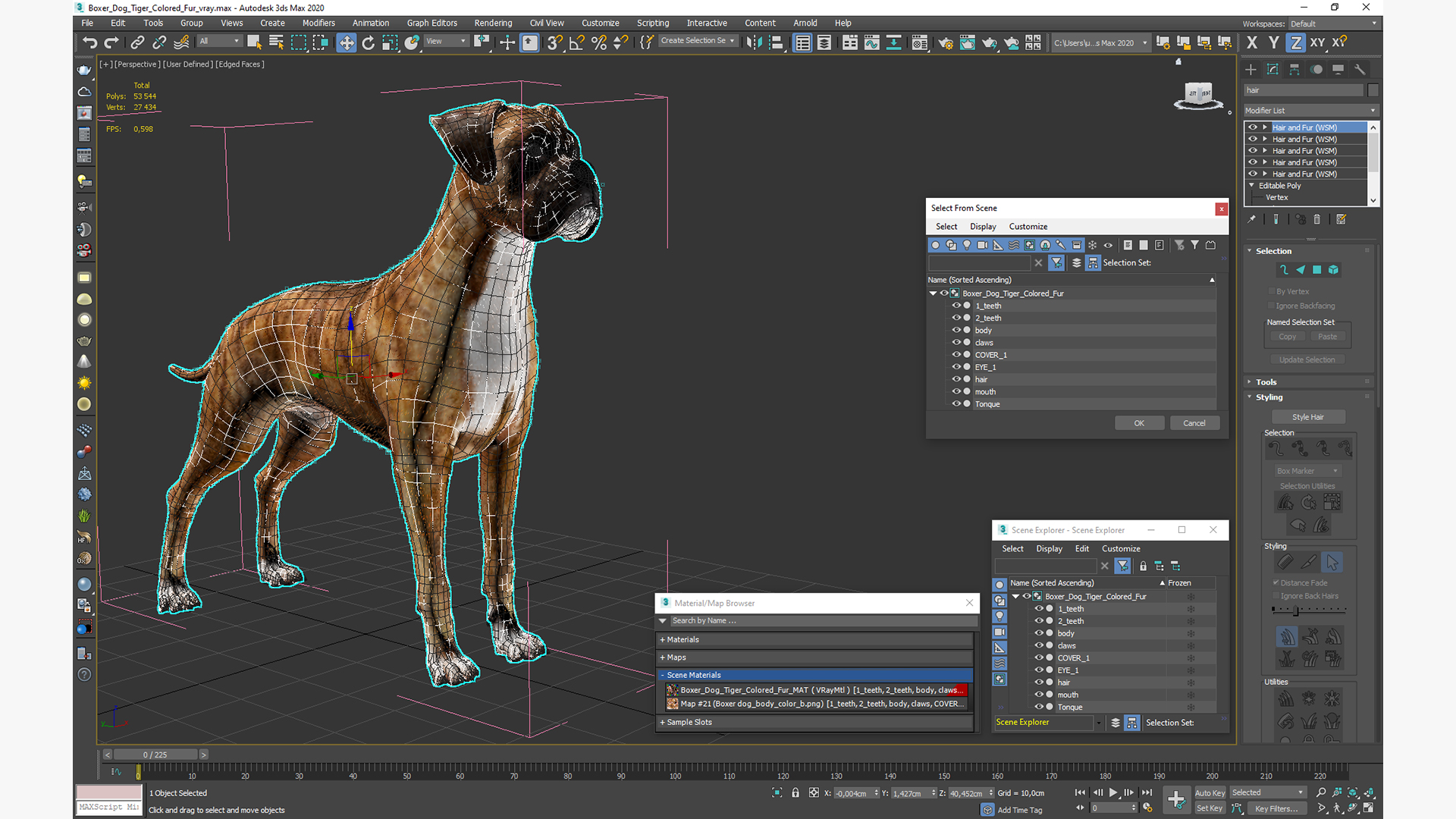 Boxer Dog Tiger Colored Fur 3D