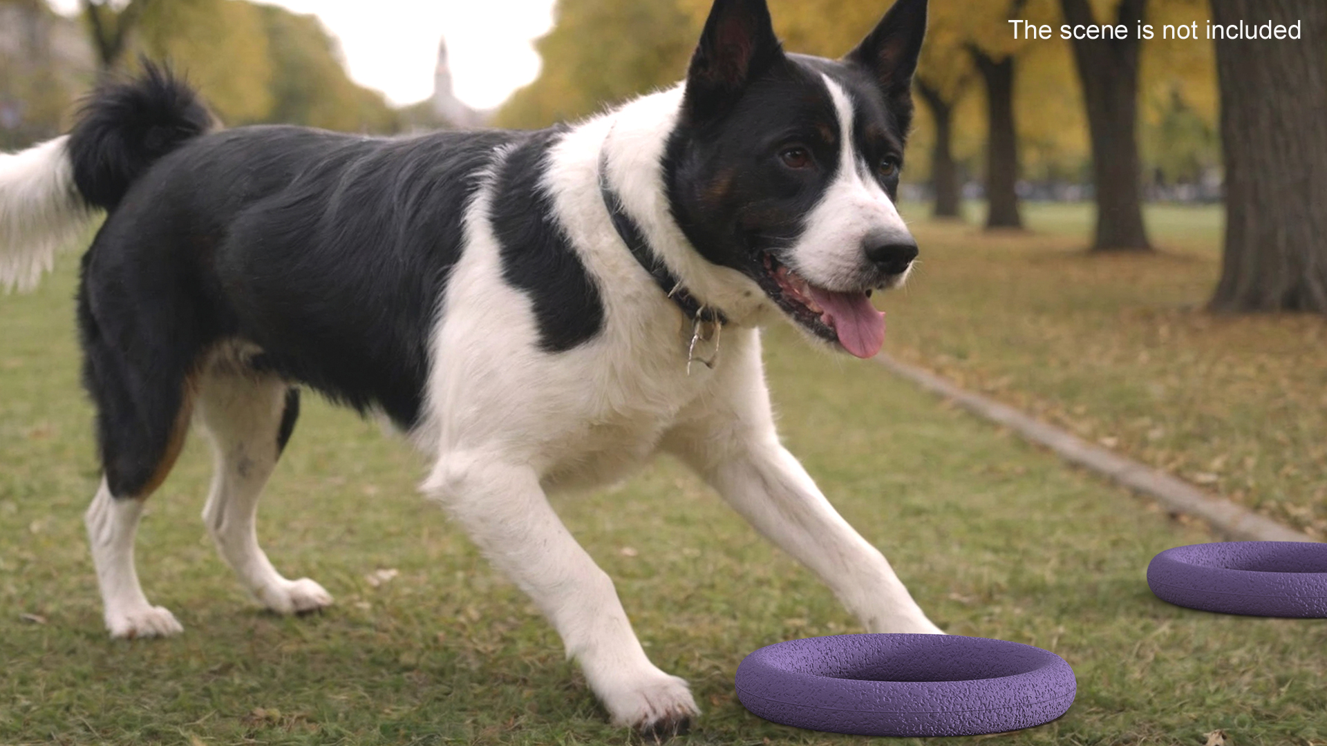 3D Interactive Dog Toy Puller Midi Used