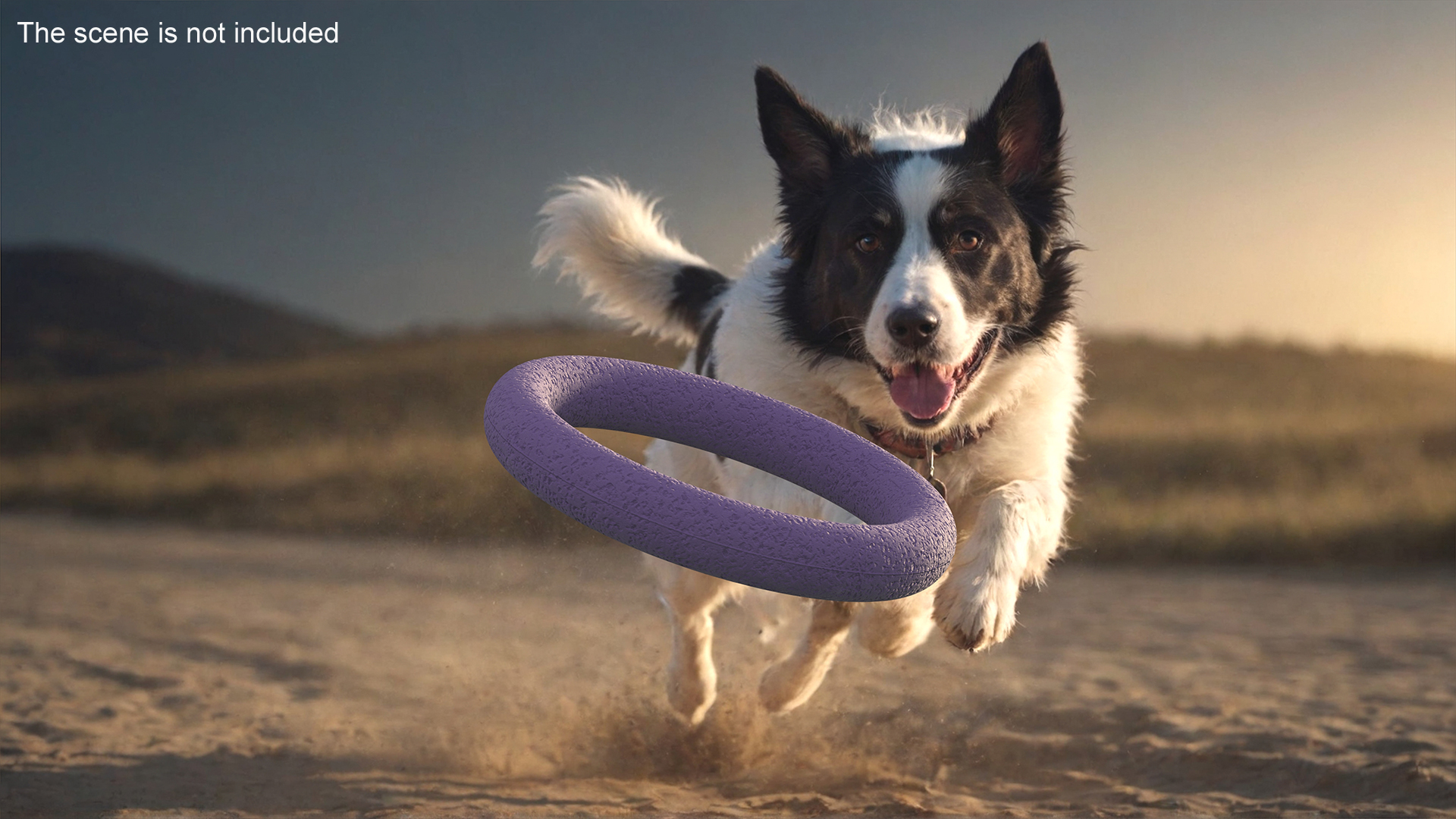 3D Interactive Dog Toy Puller Midi Used