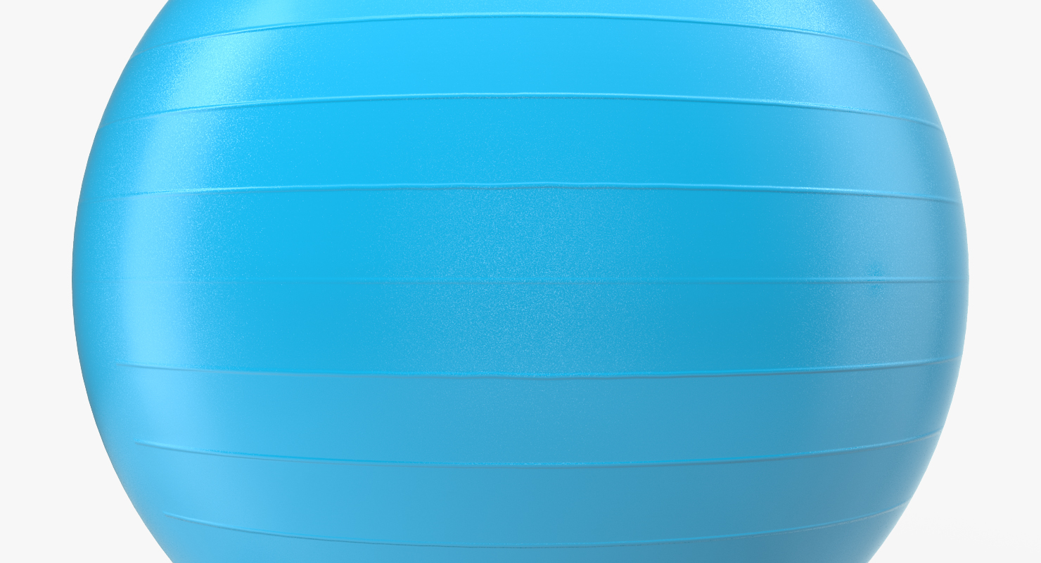 Fitness Stability Ball Blue 3D